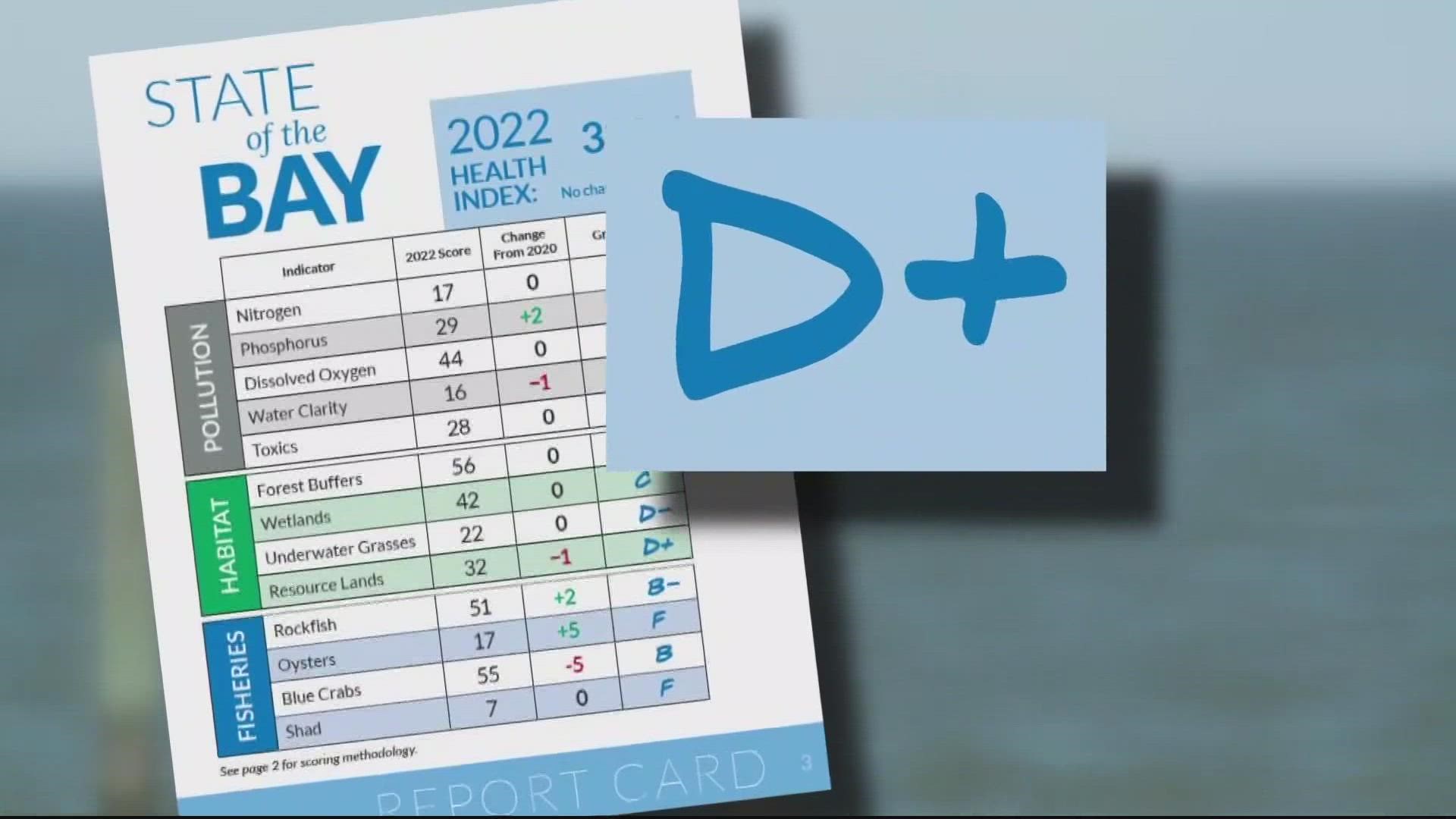 Chesapeake Bay earns D+ on latest report card | 13newsnow.com