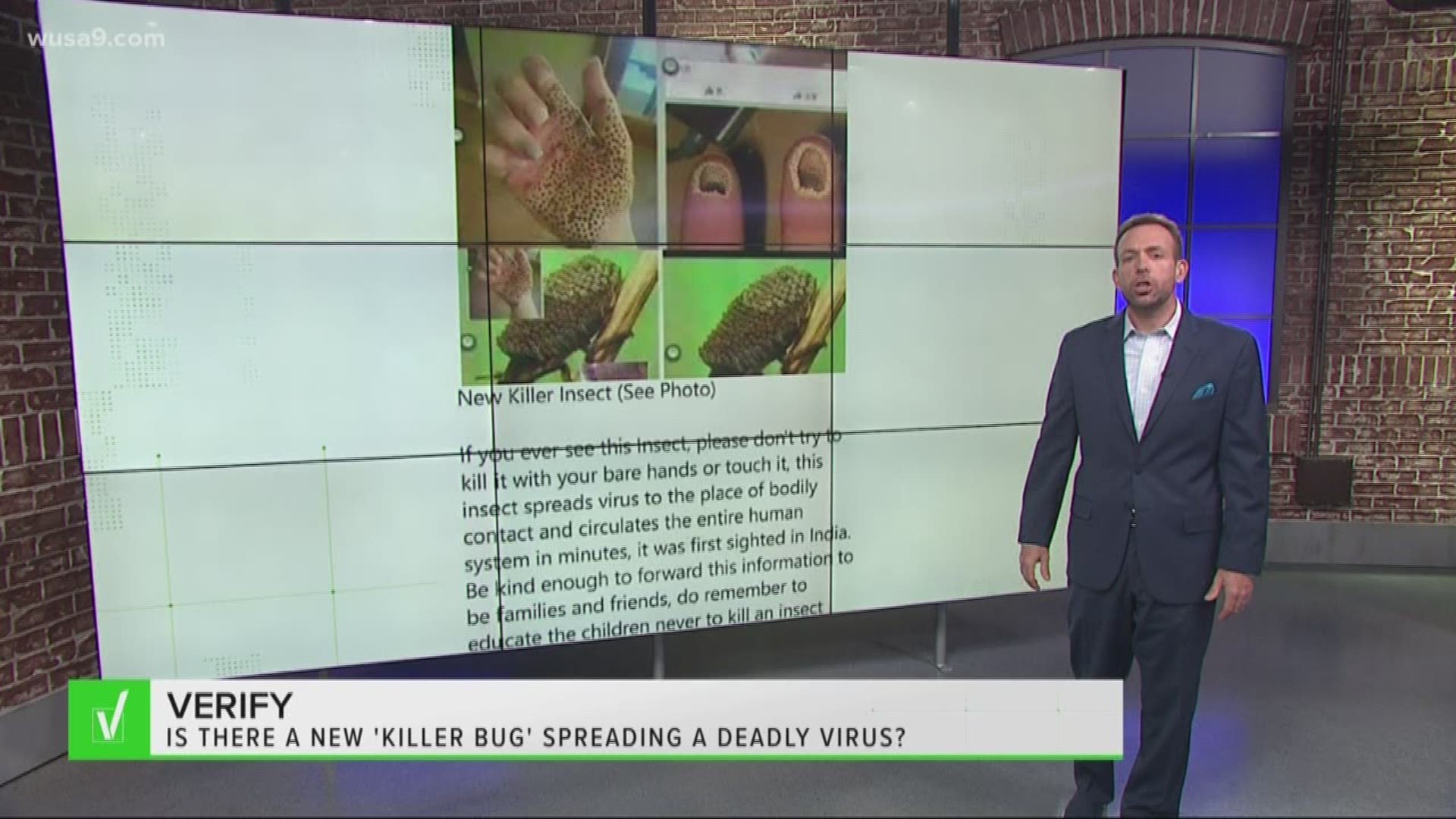 The Verify team got answers after a viewer wanted to know if a viral post is true, that warns of a new killer insect that's spreading a virus to the human body.