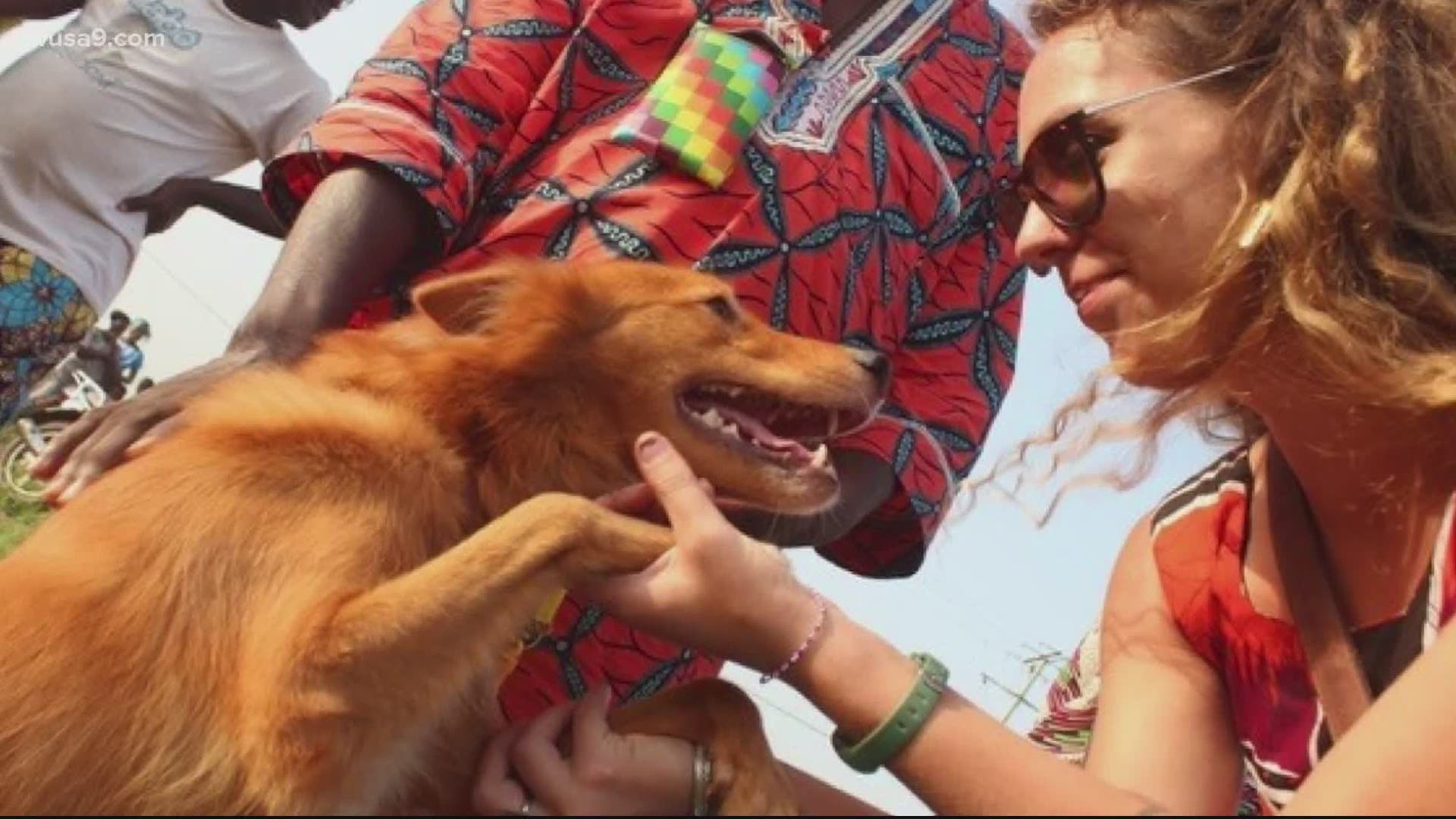 Audra Elam said the CDC denied her dog entry into the United States after the pair were initially separated in Africa.