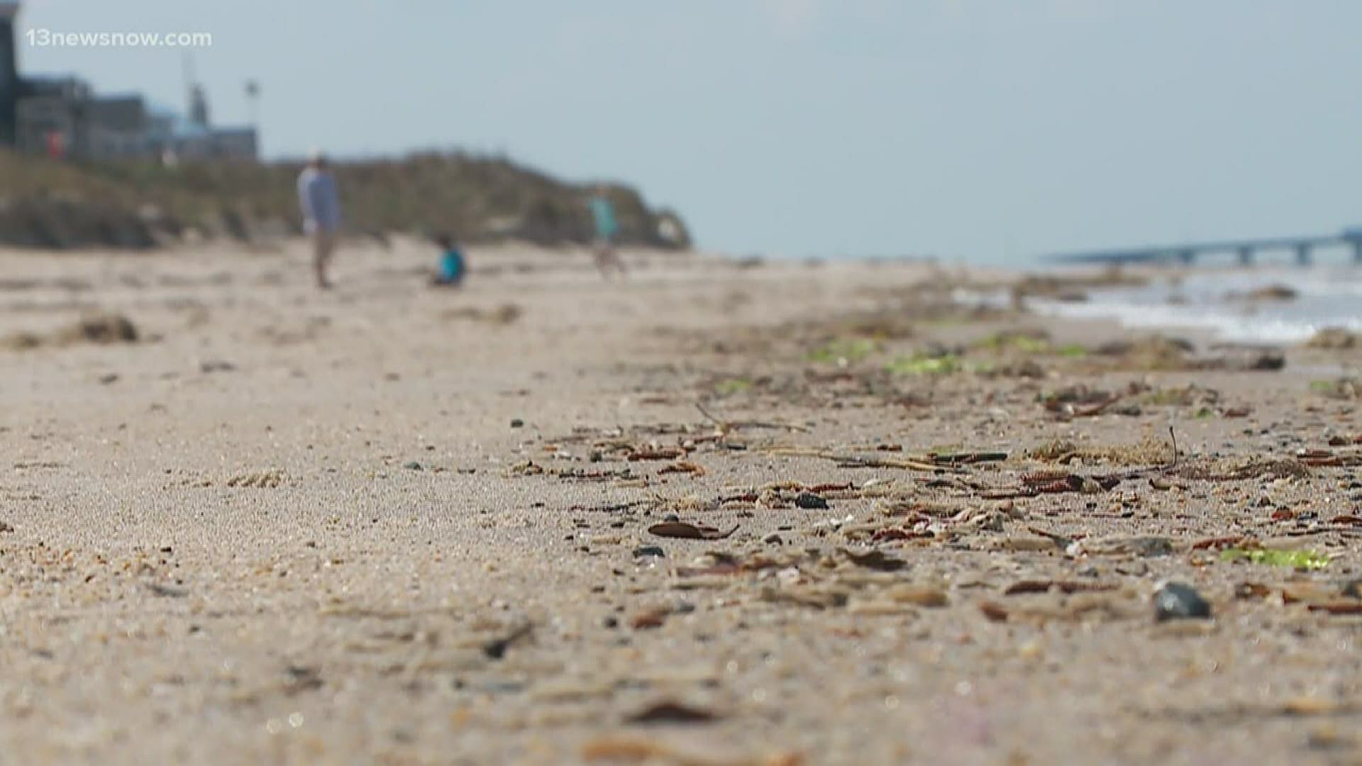 13News Now Connor Rhiel explains how Chesapeake Bay Foundation directors are offering online lessons for anybody interested during this time of self-isolation.