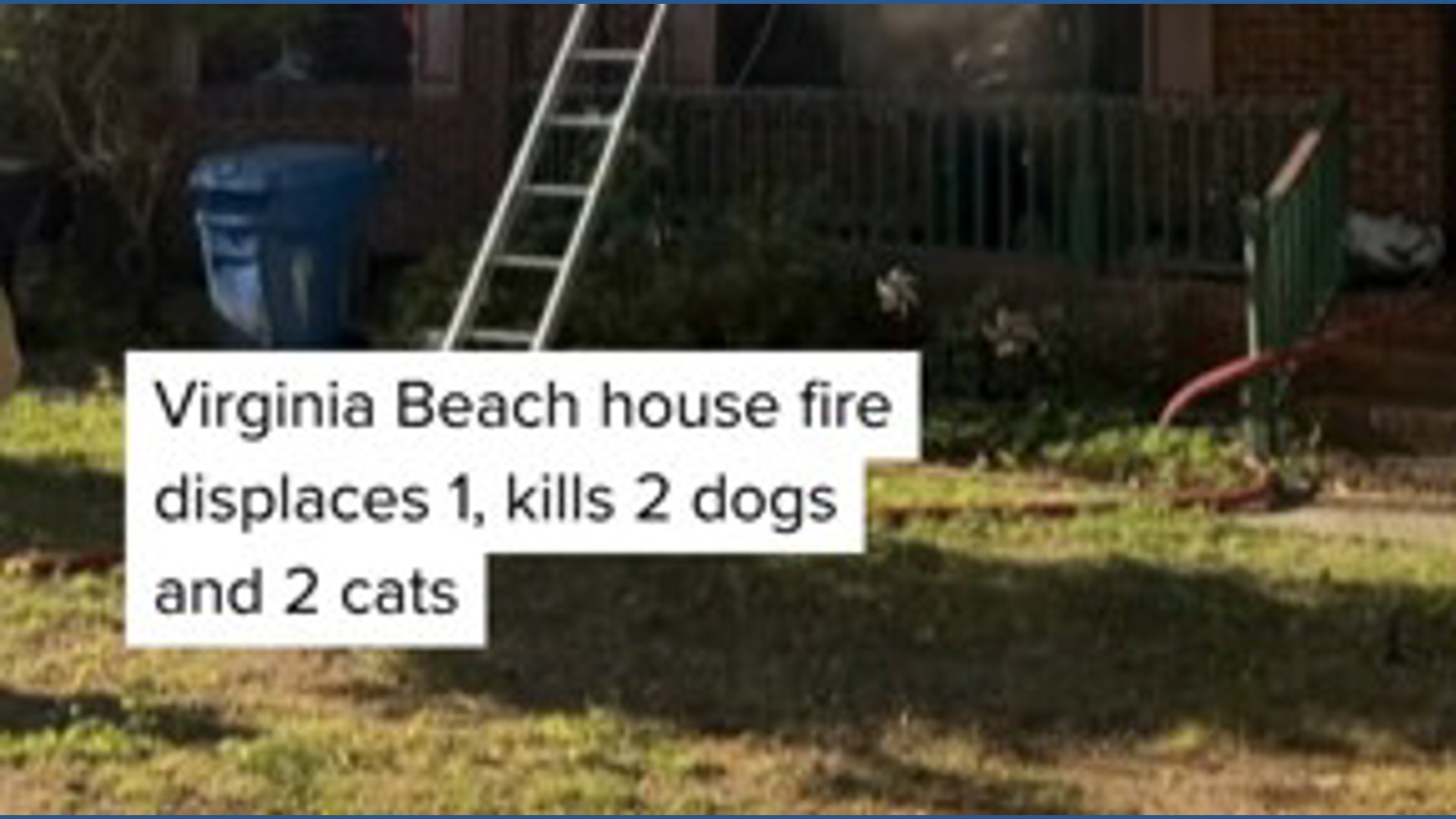 Virginia Beach house fire displaces adult, kills 2 dogs and 2 cats ...
