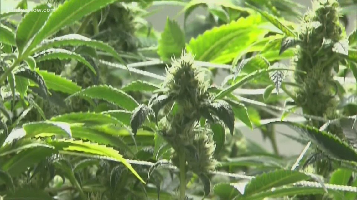 First medical marijuana dispensary opens in Virginia