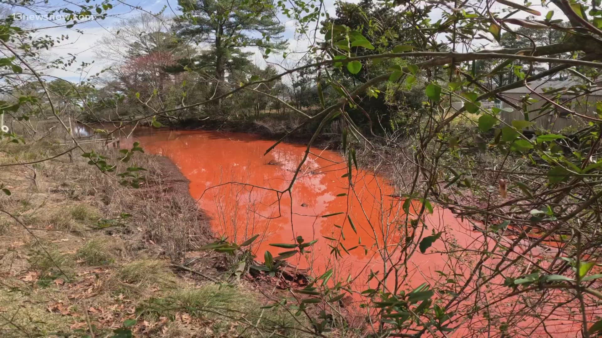 There's literally something in the water behind homes in Norfolk.