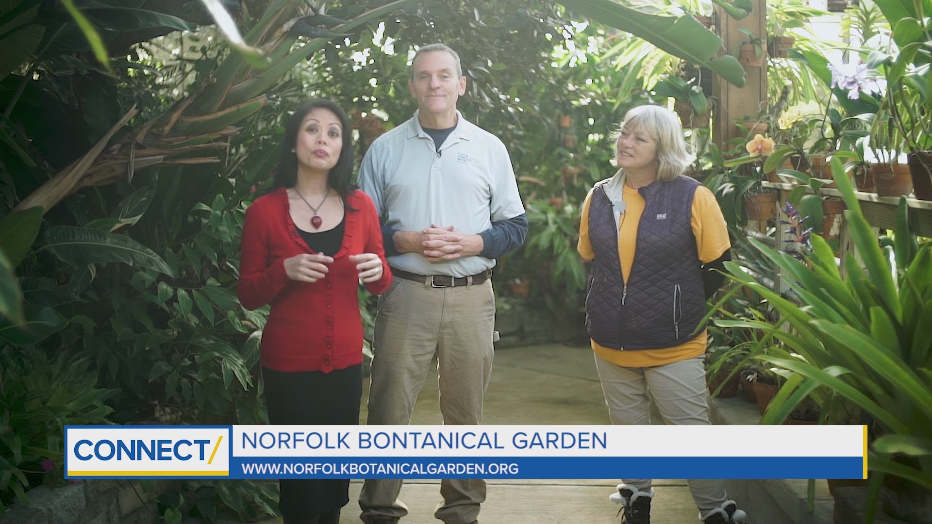 Orchids are beautiful to look at, but can be hard to keep. We got some good tips on how to care for them at Norfolk Botanical Garden.