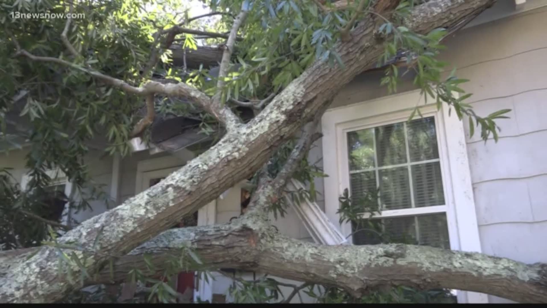 VERIFY: Are you responsible for damaging your neighbor's property if the damage came from your yard?