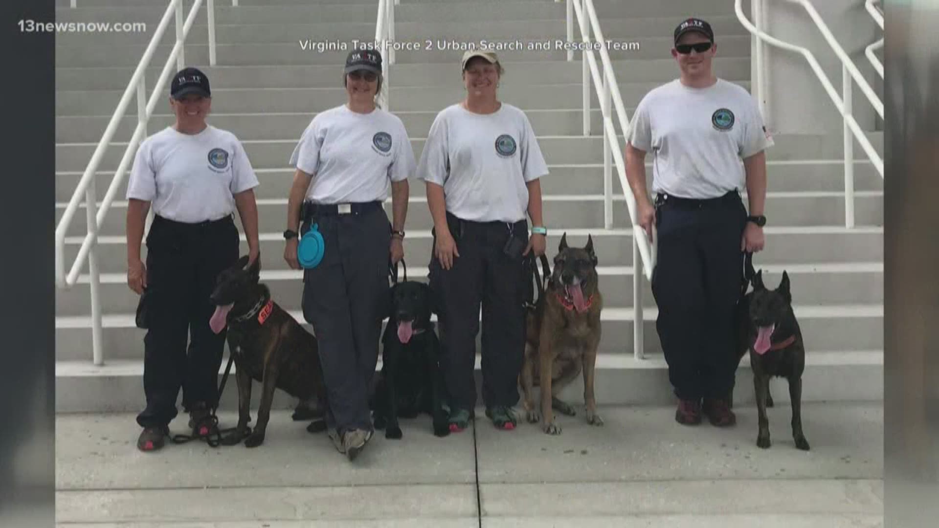 A group of dogs from our area is ready to help hurricane victims. Four k9s with the Virginia-based Task Force 2 are stationed in Florida ahead of Hurricane Dorian.