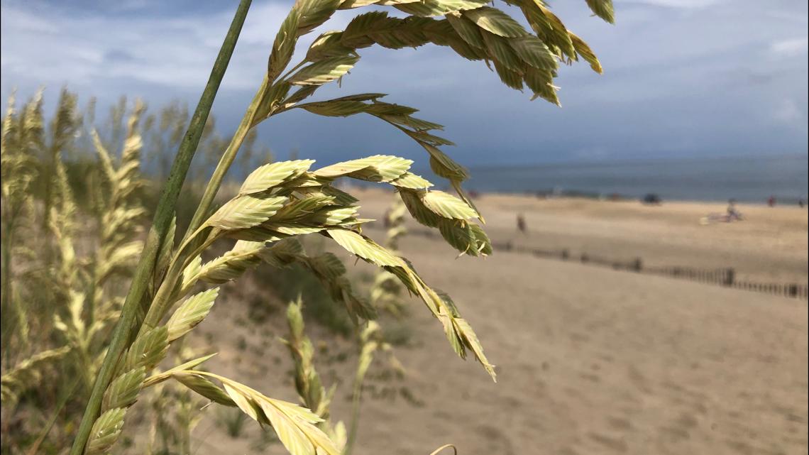 Drowning reported in Nags Head, NC | 13newsnow.com