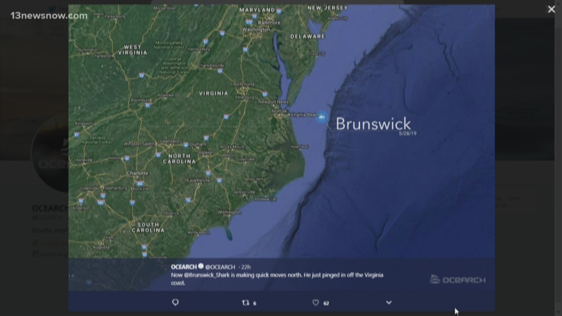 Brunswick, a tagged Great White Shark pinged off the coast of Virginia Beach.