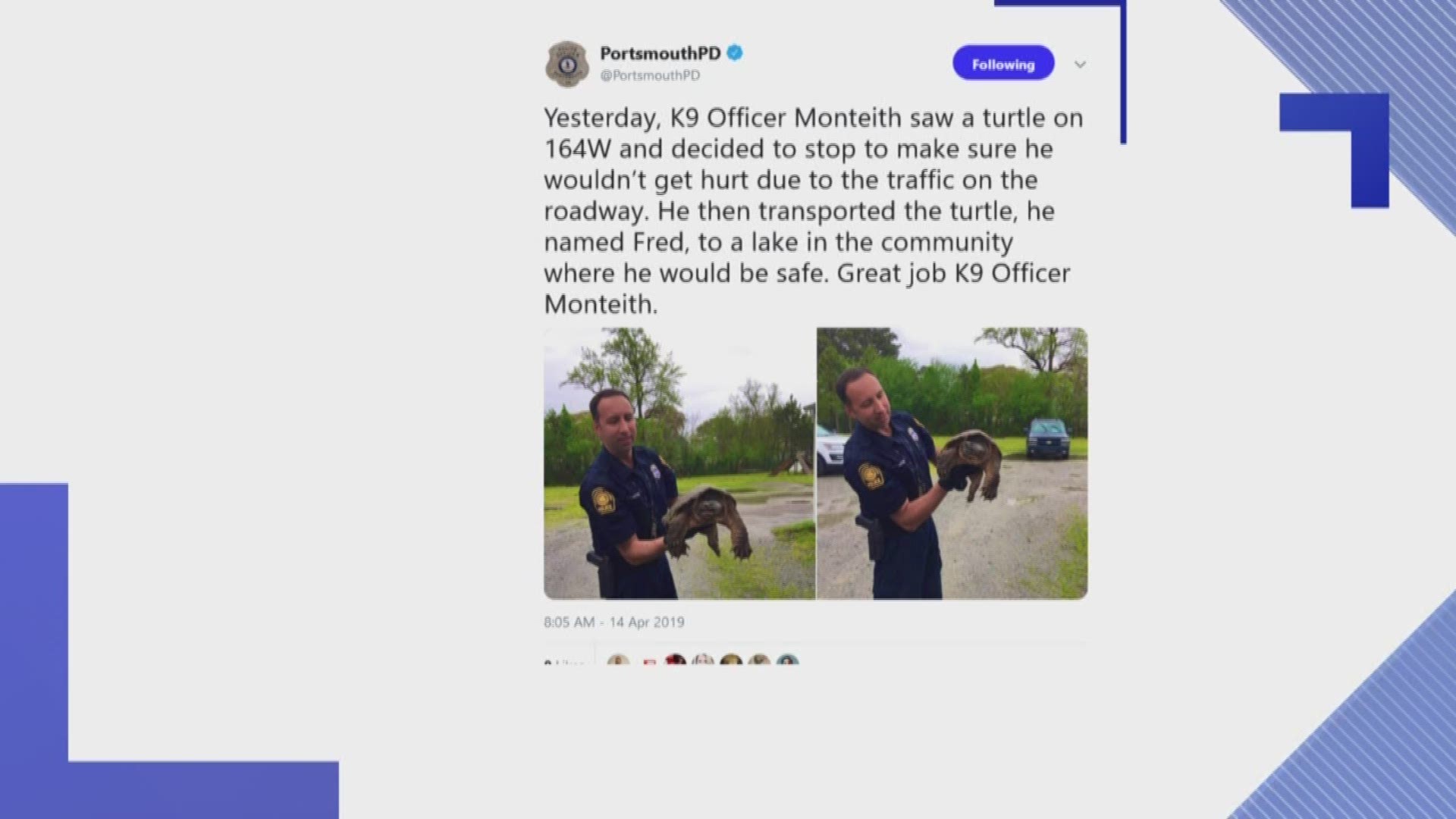 K9 Officer Monteith saw the turtle on Route 164 West in Portsmouth and stopped to ensure it wasn't hurt or hit by traffic.