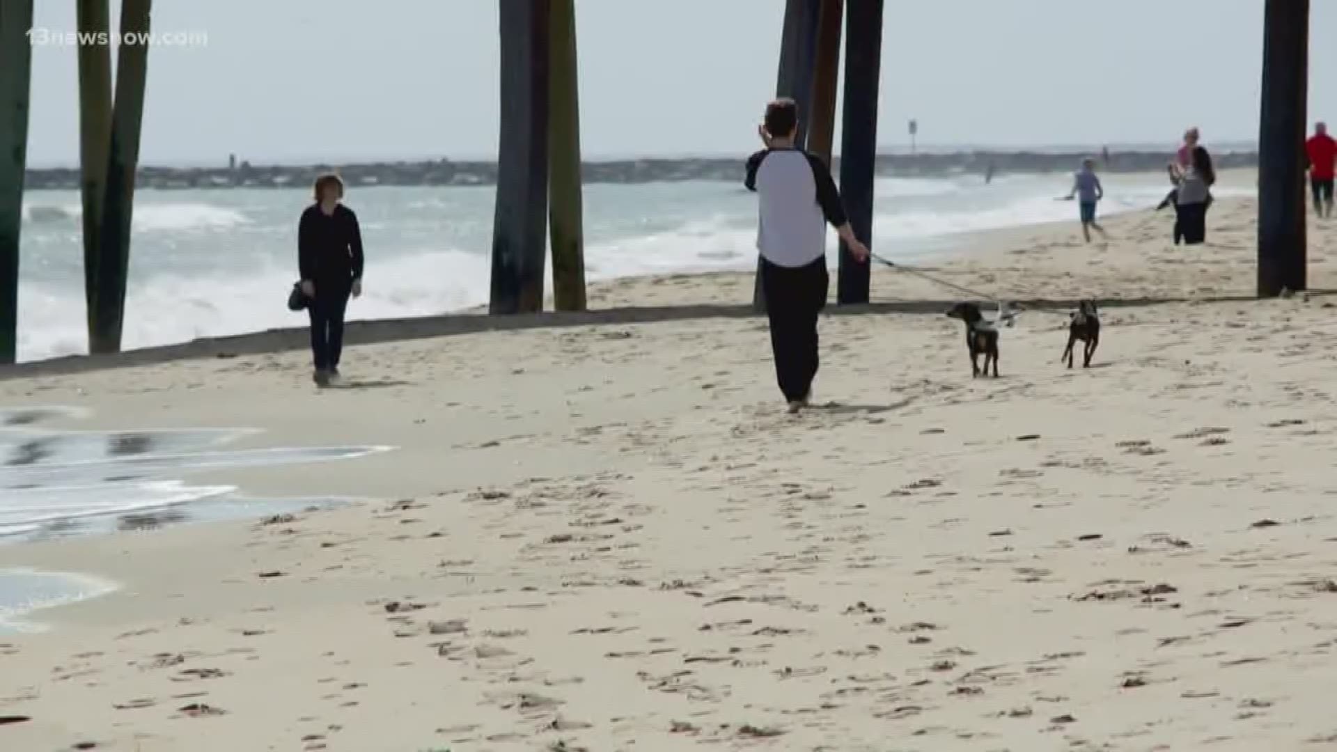 A local veterinarian said this weather could be life-threatening to animals. The sand in Virginia Beach was 145 degrees Monday. The hot ground can give dogs third-degree burns on their paws and they can get heatstroke.