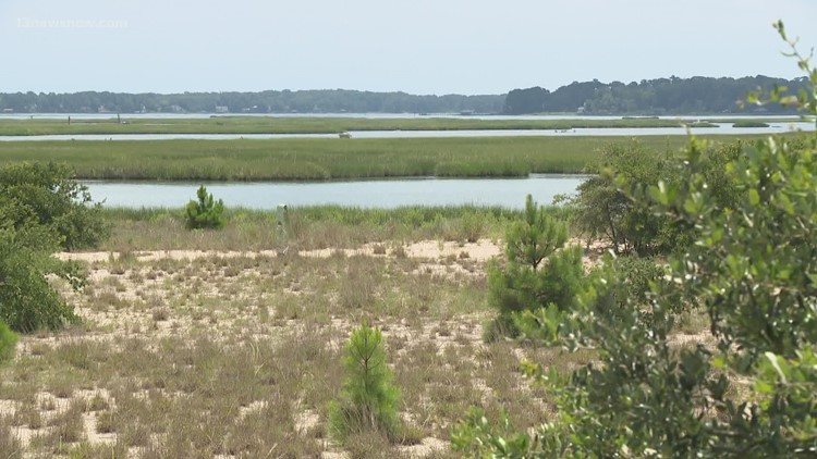More carbon emissions could hurt Hampton Roads, Chesapeake Bay
