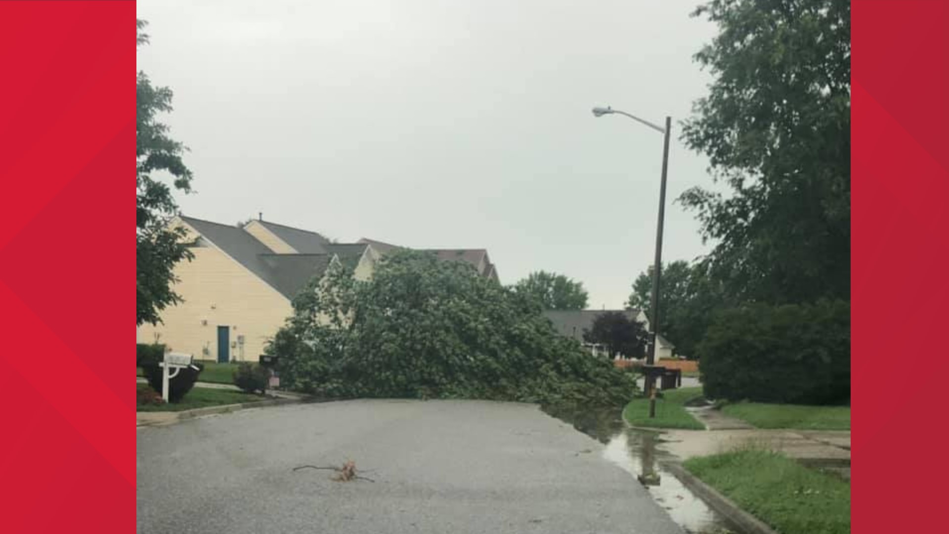 Quick-moving storms bring down trees, knock out power to thousands in ...