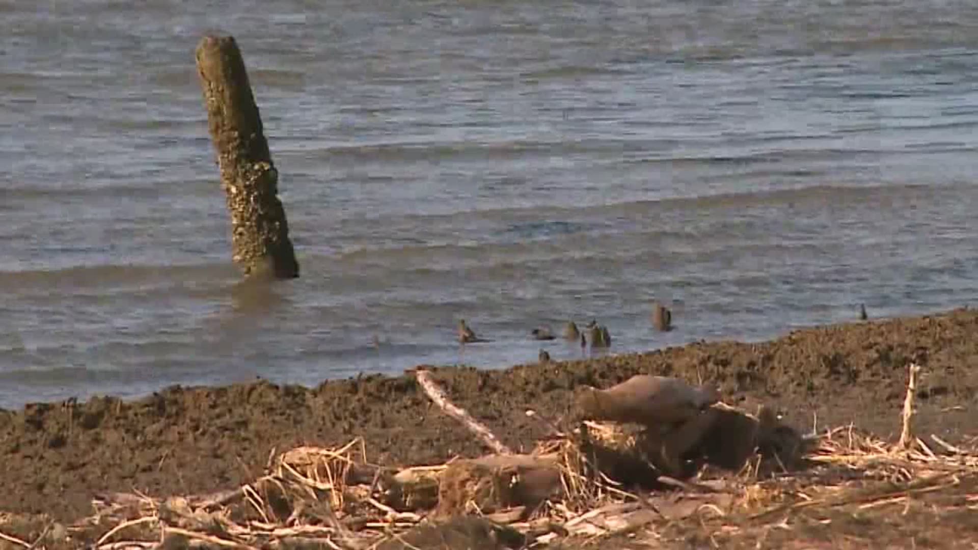 Memorial service for SEAL who died while kayaking