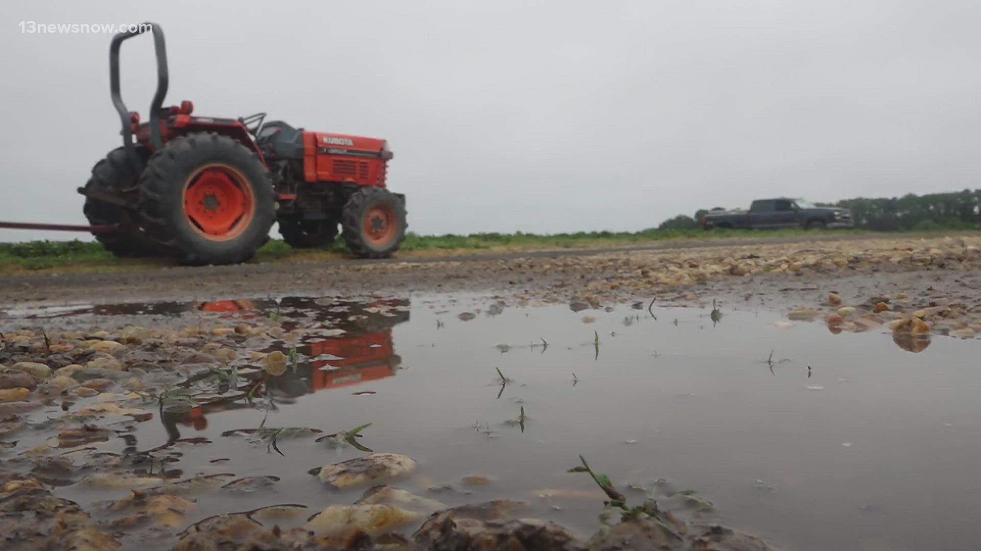 For some farmers, the rain, plus the up-and-down temps, are causing problems.