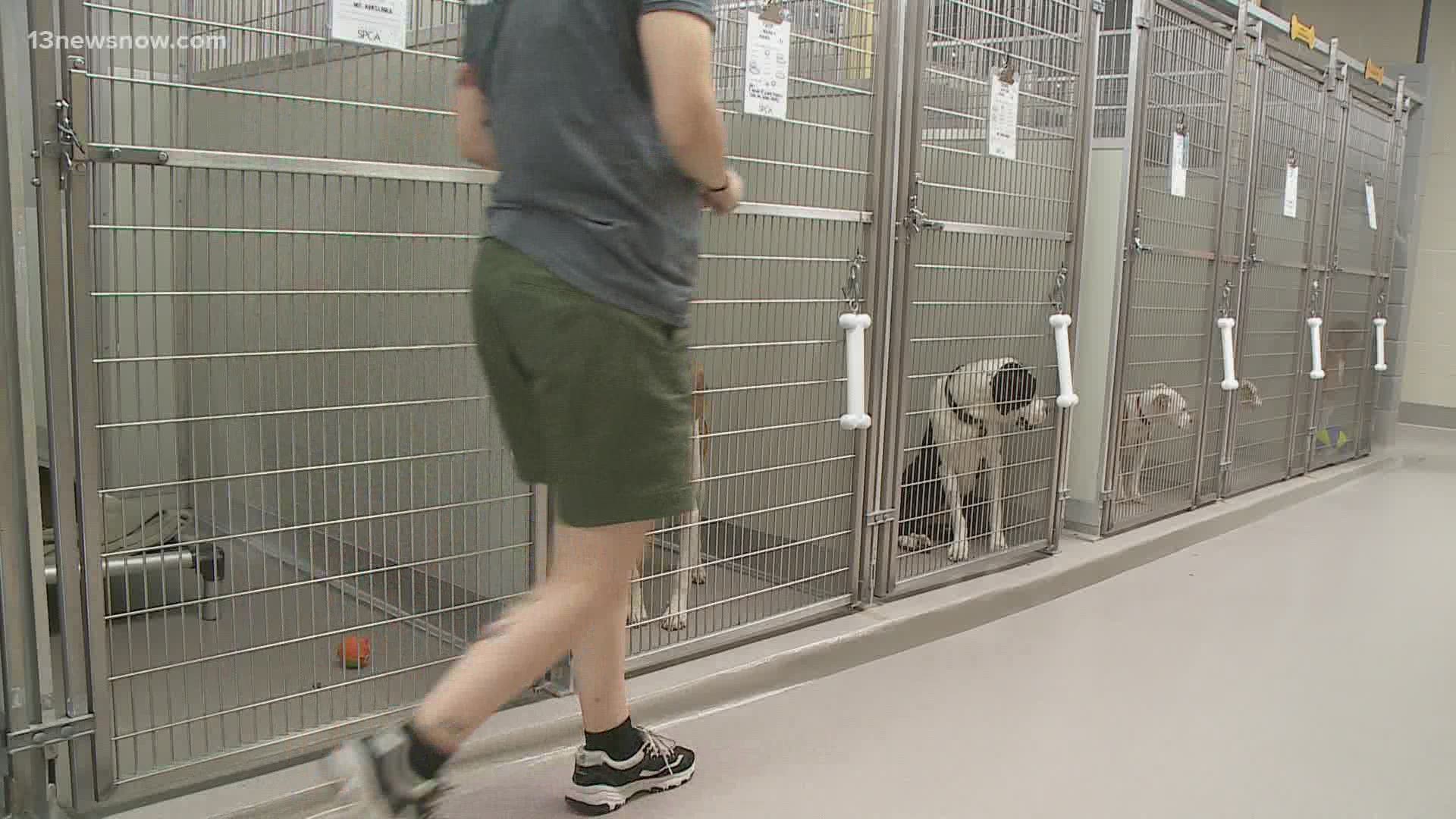 Norfolk SPCA gave some tips to help prevent your pets from getting lost during 4th of July celebrations. Lots of pets run away on this holiday ever year.