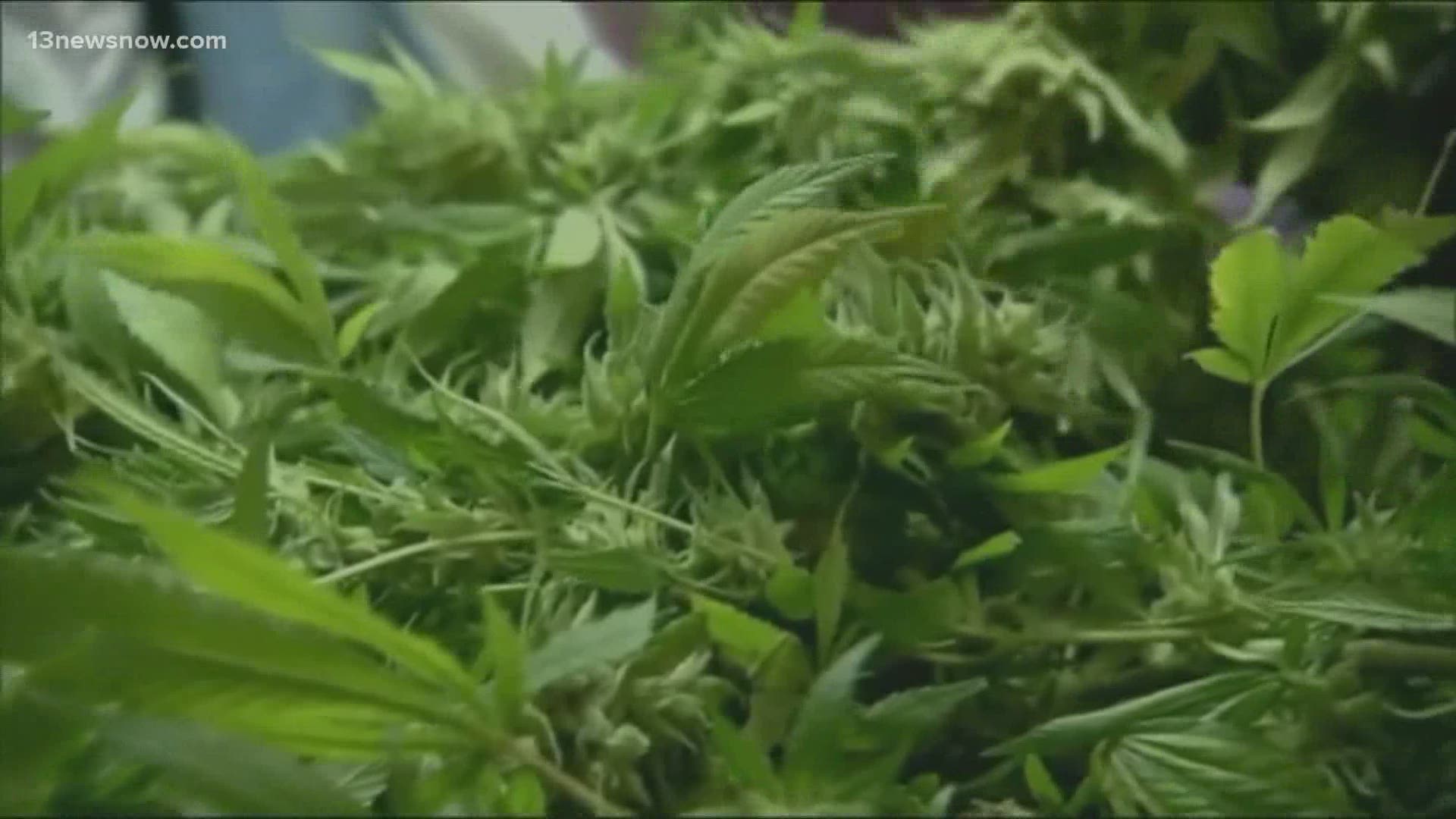 Governor Northam signed a bill that would make simple possession of marijuana legal in Virginia by July. 13News Now David Alan breaks down the historic measure.