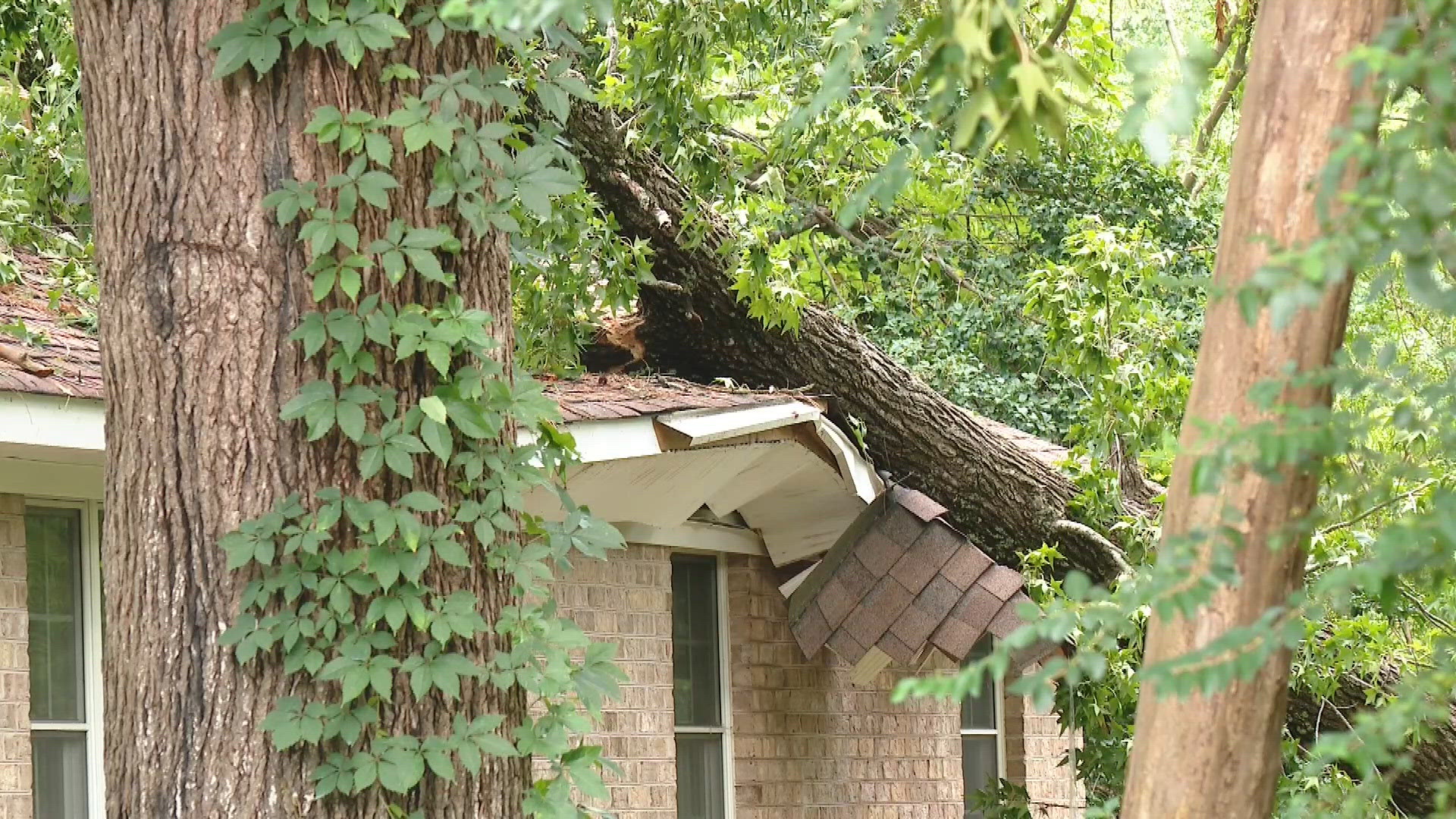 Severe storms leave downed trees, power lines and property damage ...
