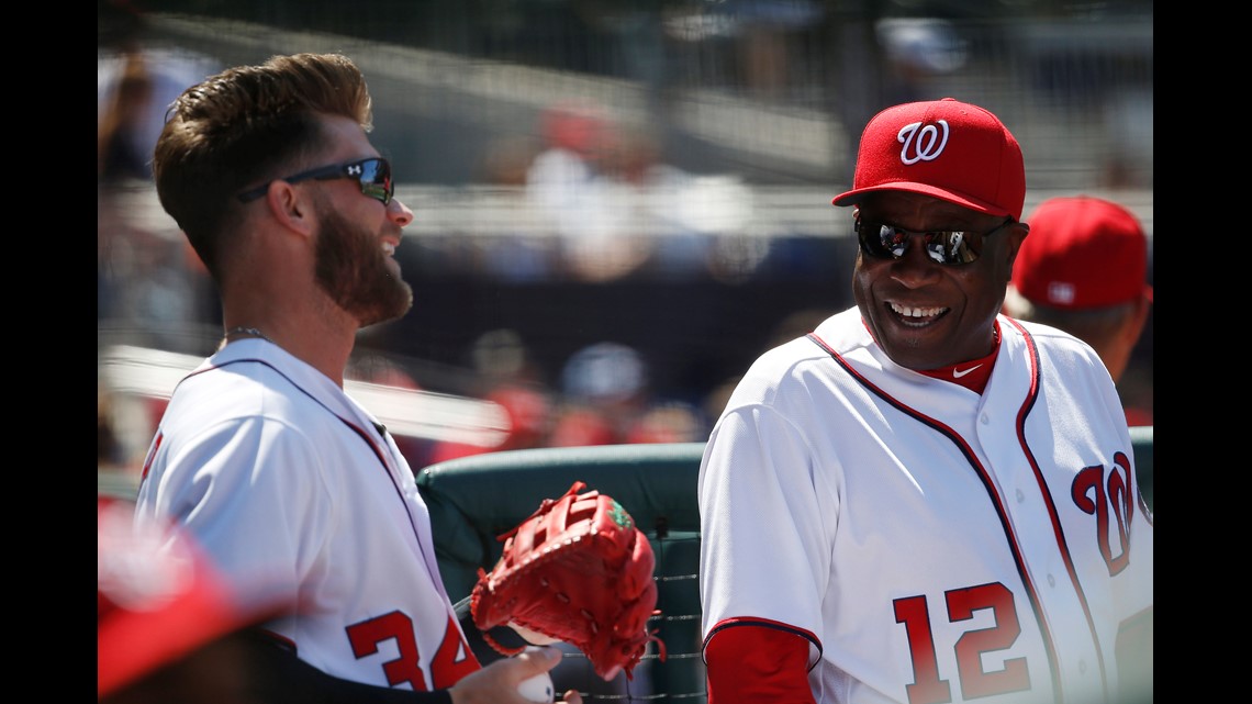 Dusty Baker says only 'young fools' dare give Bryce Harper pitches