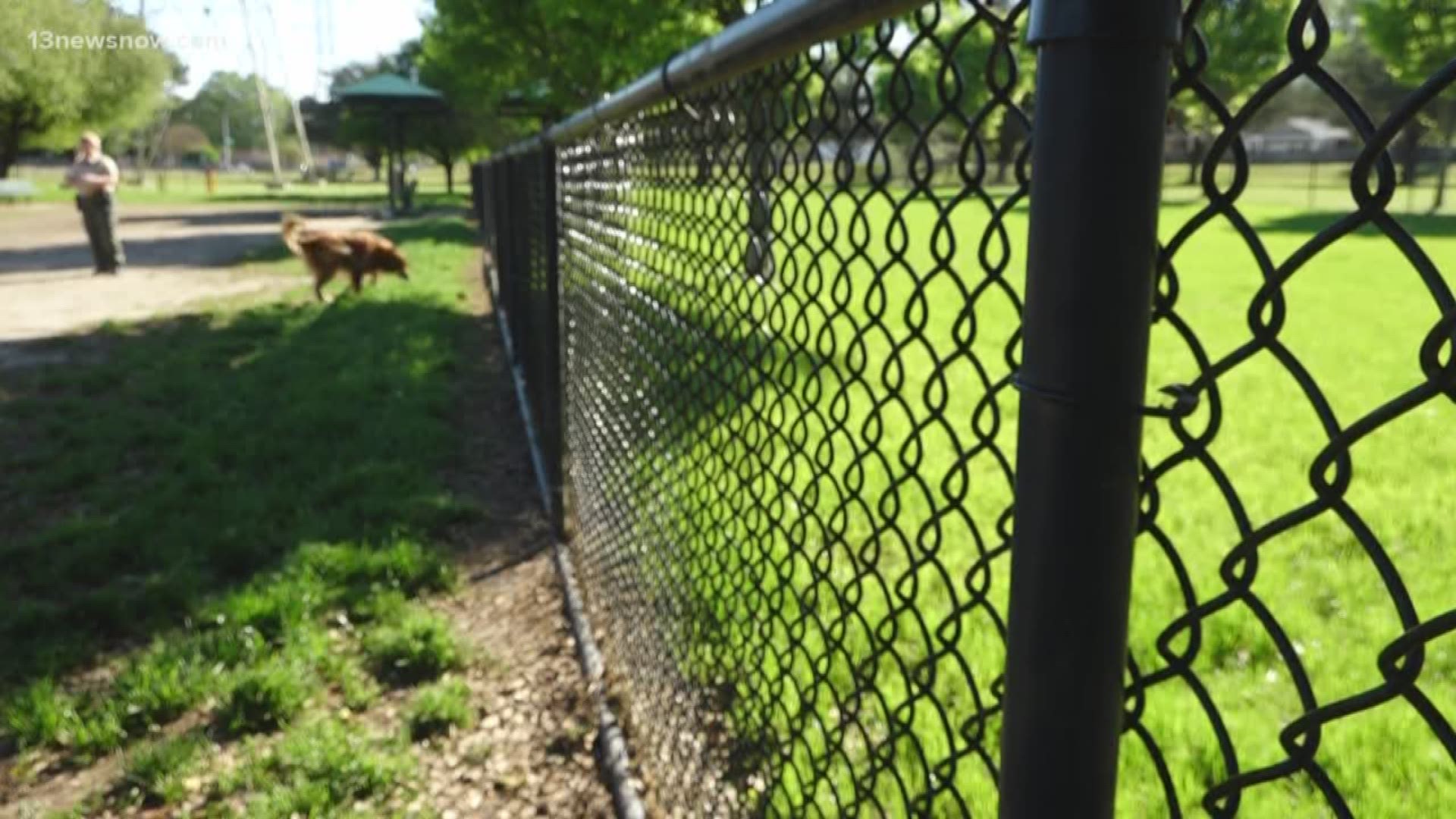 In this latest Bentley's Corner, 13News Now Tim Pandajis tackles dog park etiquette.