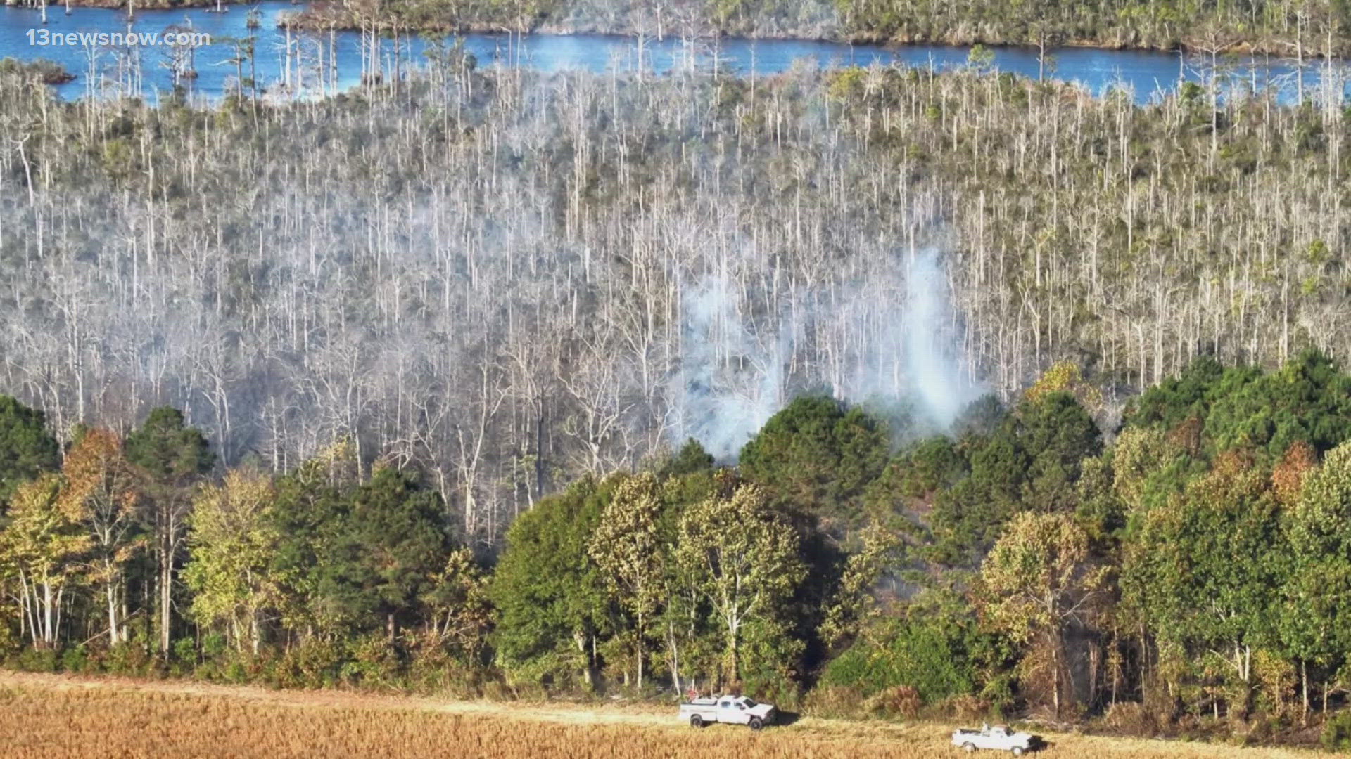 A Virginia Beach brush fire burned across about six acres of land.