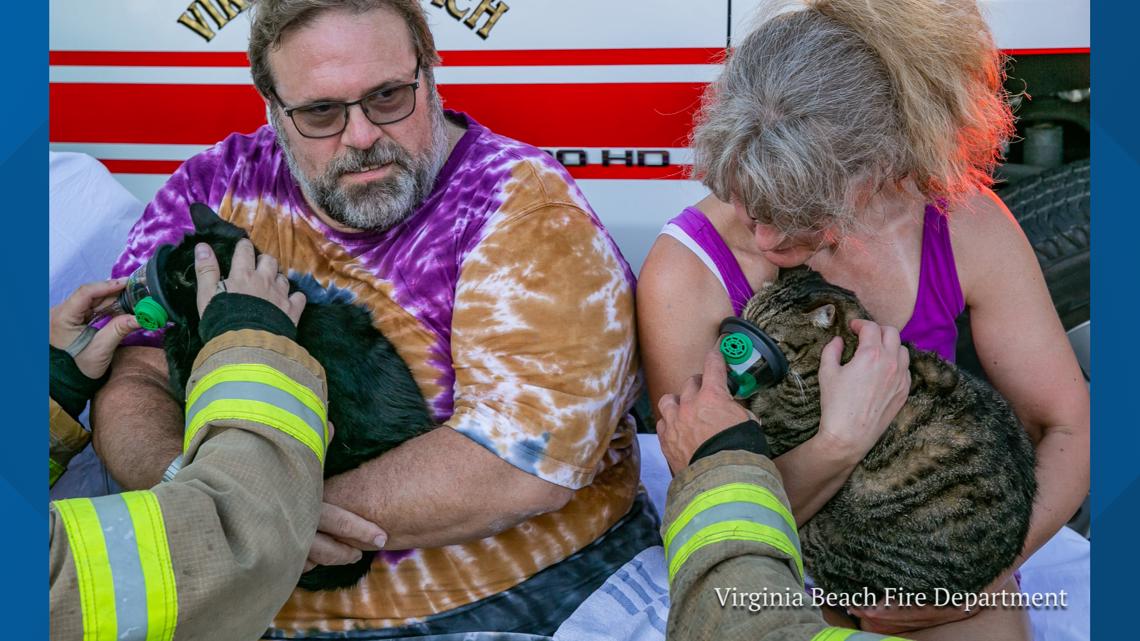 Family and pet cats displaced following Virginia Beach house fire ...