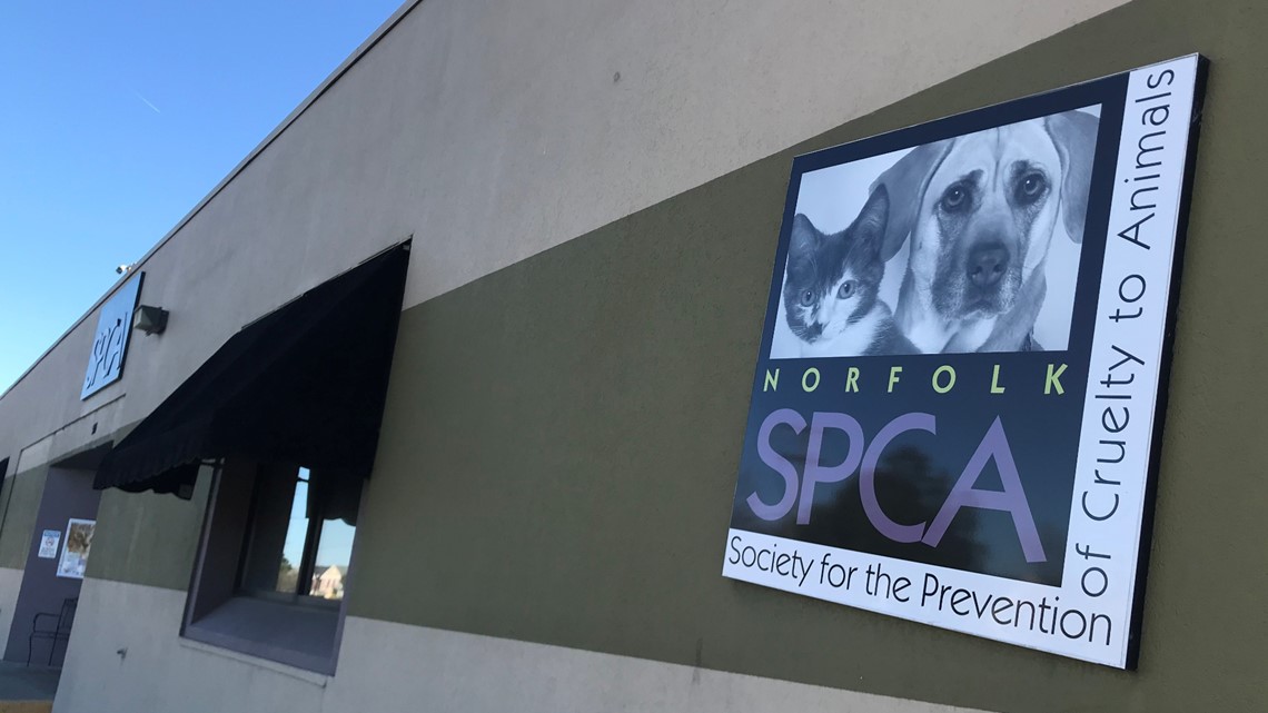 spca norfolk dogs