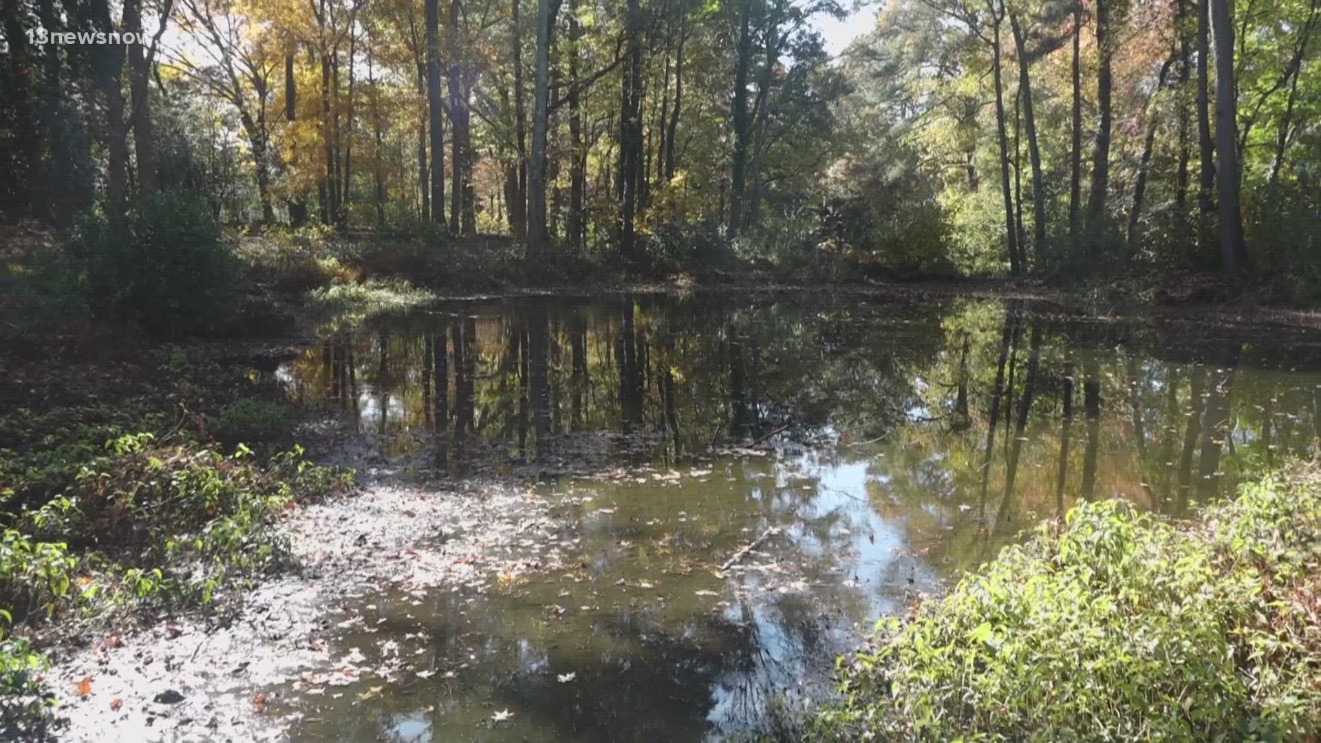 Virginia Beach Mayor Bobby Dyer, Councilman Michael Berlucchi, and concerned neighbors met at the lake that is the center of some controversy.