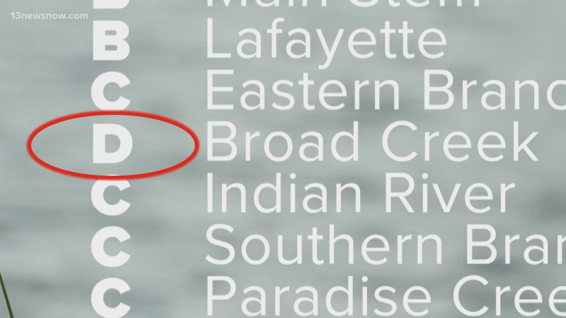 We dive into what new numbers tell us about the health of our waterways.