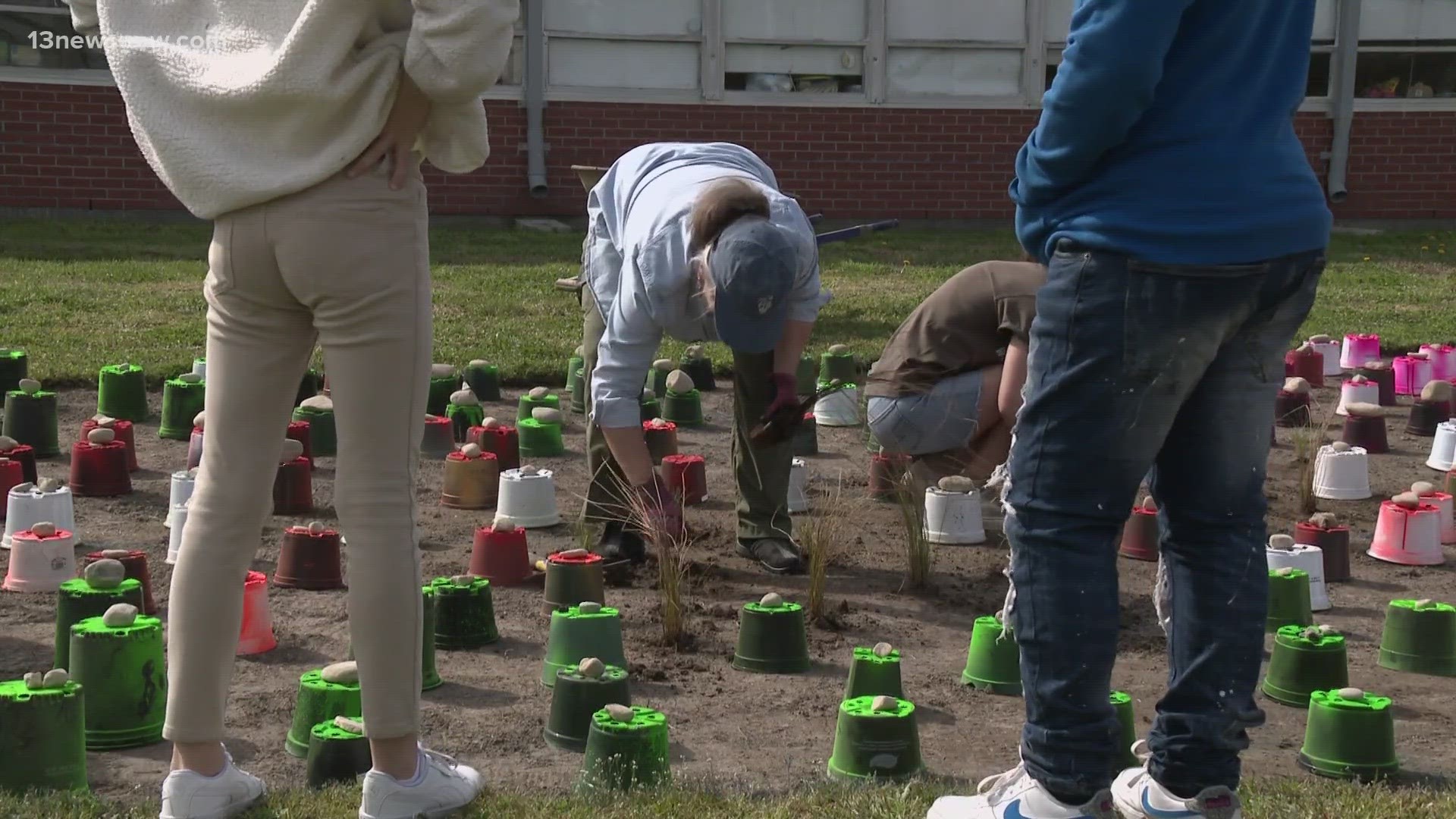 Students at Sherwood Elementary Schools in Norfolk helped the Cheapeake Bay Foundation plant a thousand plants to help reduce flooding.