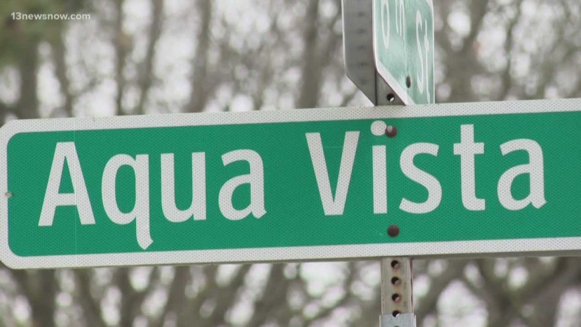 13News Now Niko Clemmons spoke with residents at the Aqua Vista Apartments in Newport News who say they're taking their complaints to the city council.