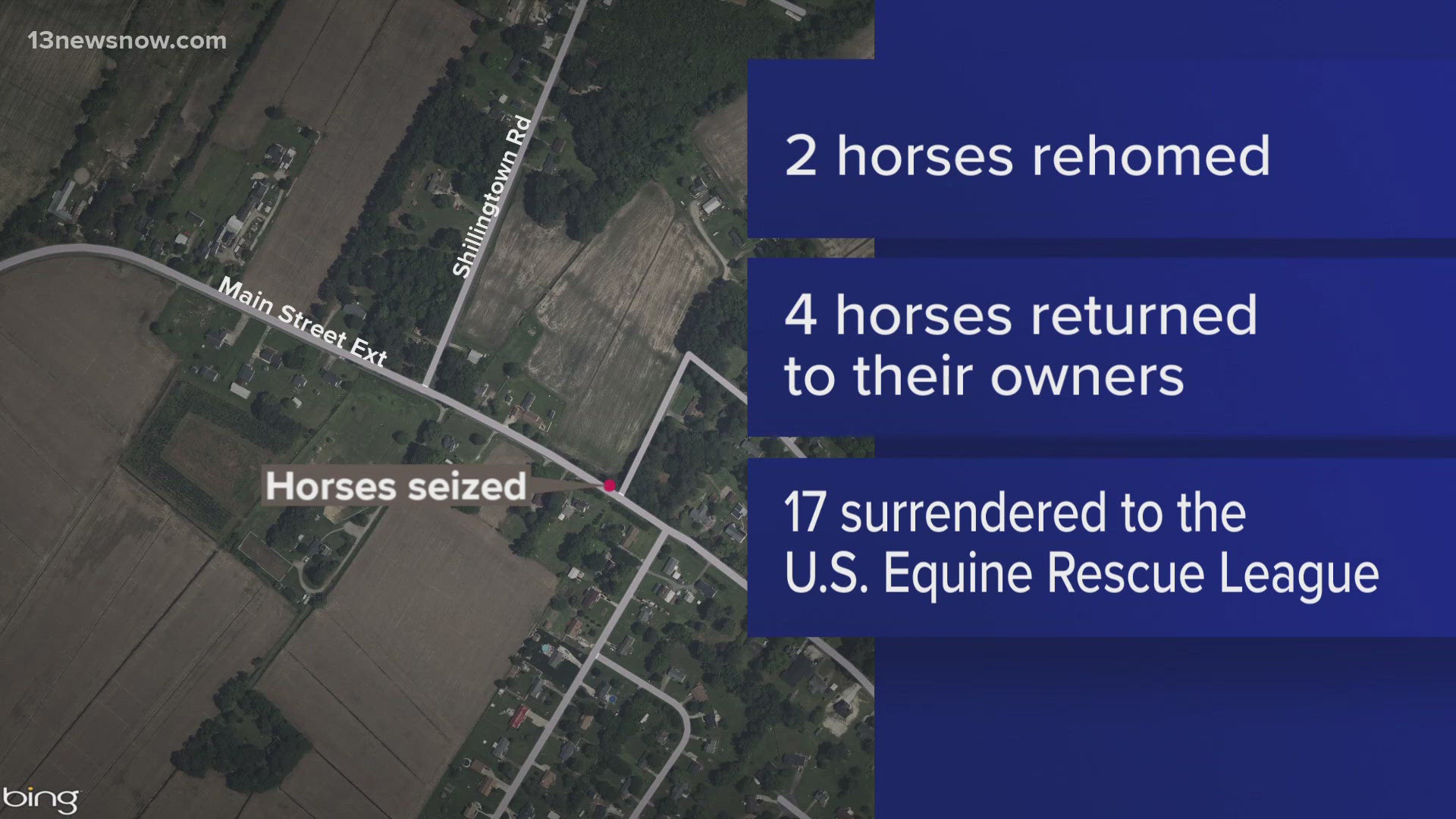 An investigation is underway after over a dozen horses were found to be in poor condition at a property in Elizabeth City on Thursday.