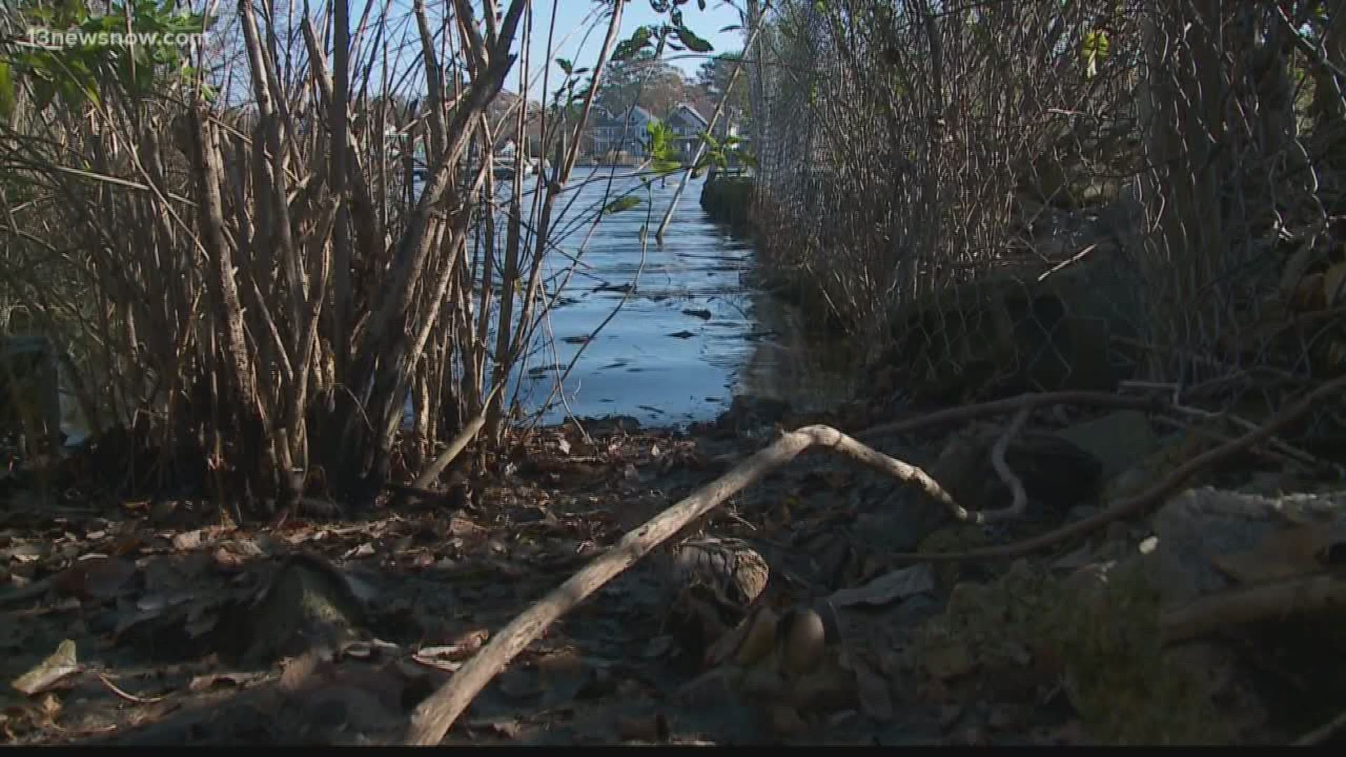 There's a new effort in Norfolk to fight flooding in one neighborhood.
