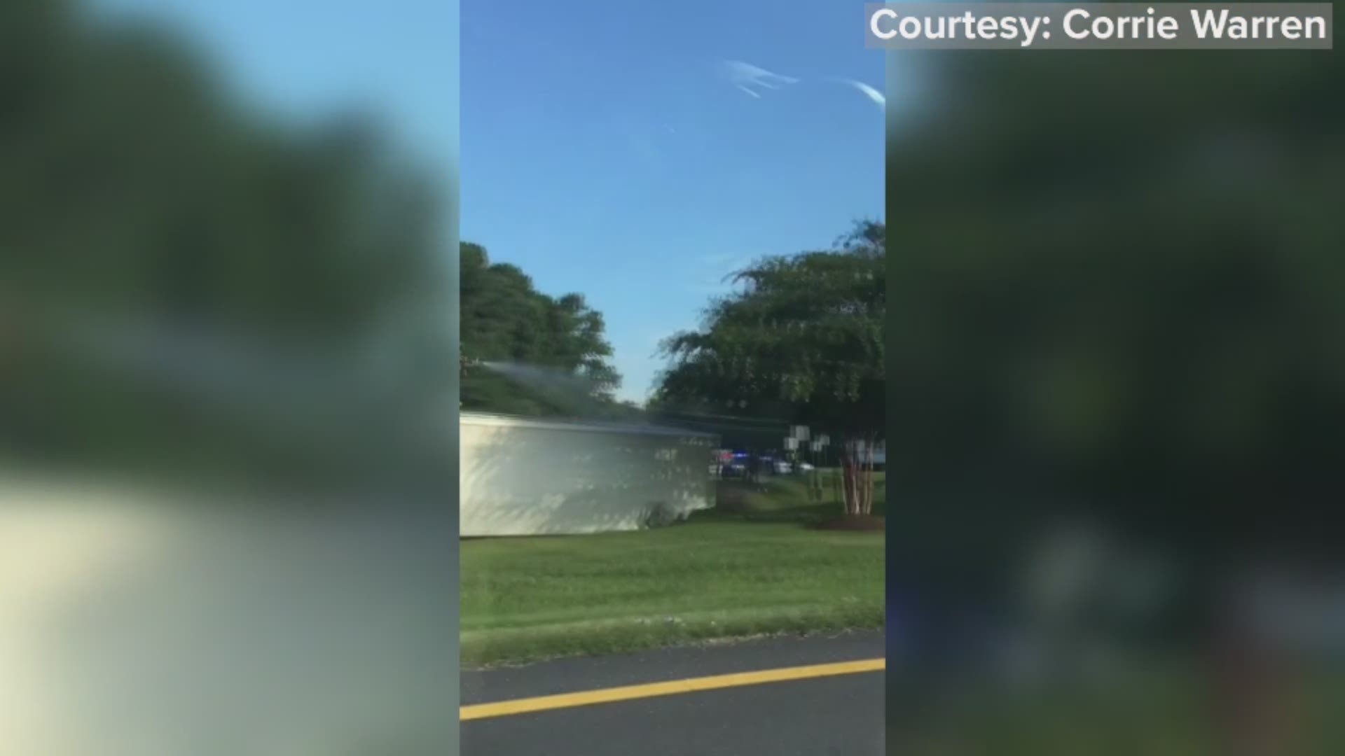 Three pigs got loose, and police officers worked to corral them while the scene was being cleared.