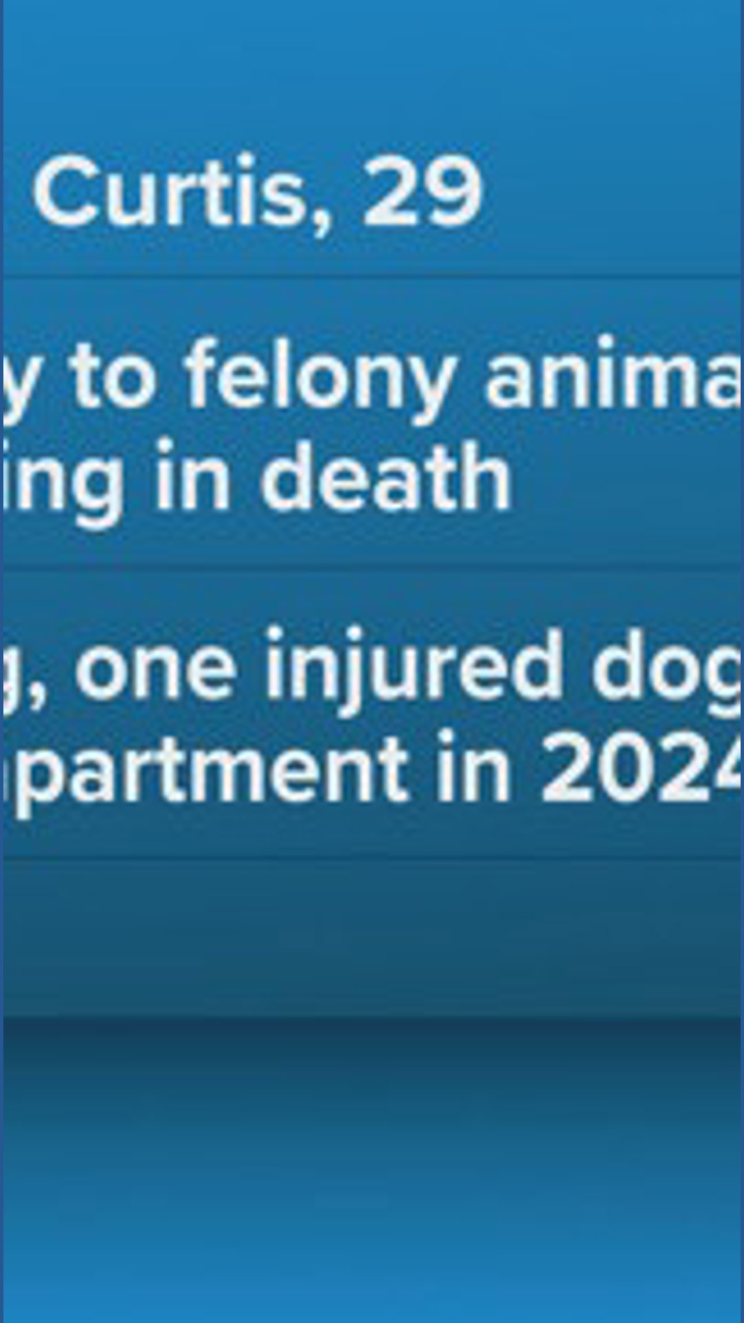 Norfolk woman pleads guilty to felony animal cruelty after dogs found ...