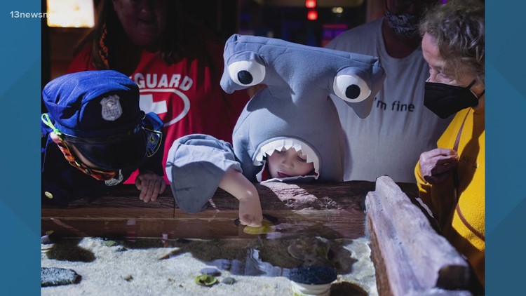 Noon Interview: Fins & Frights coming to Virginia Aquarium & Marine Science Center