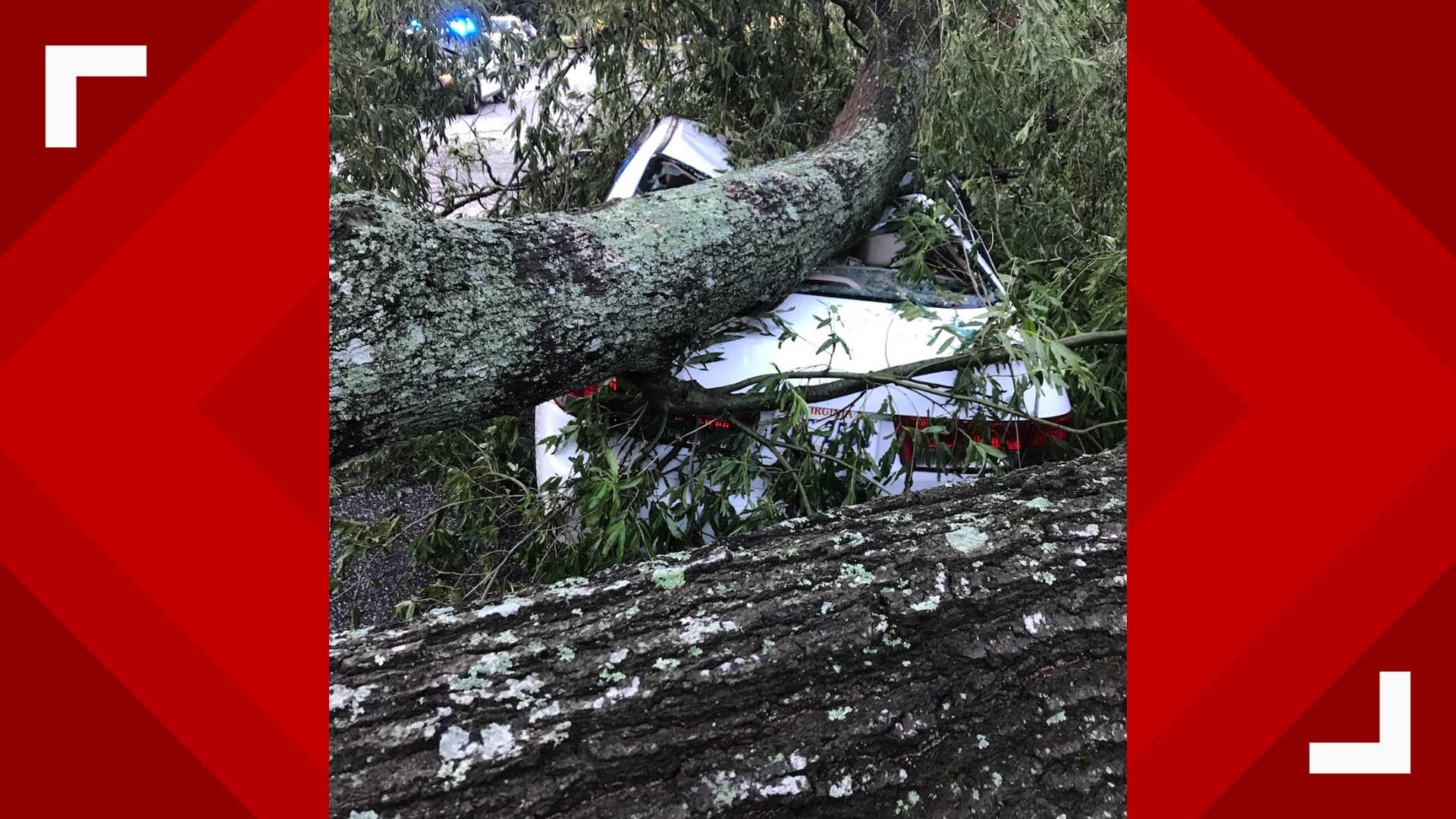 Quick-moving storms bring down trees, knock out power to thousands in ...