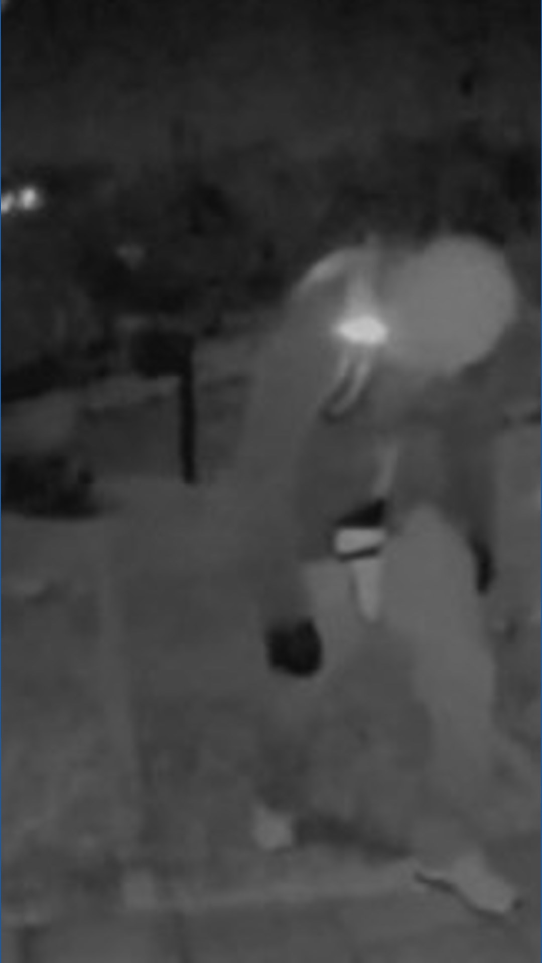 Investigators ask for tips in connection with Nancy Guthrie's disappearance