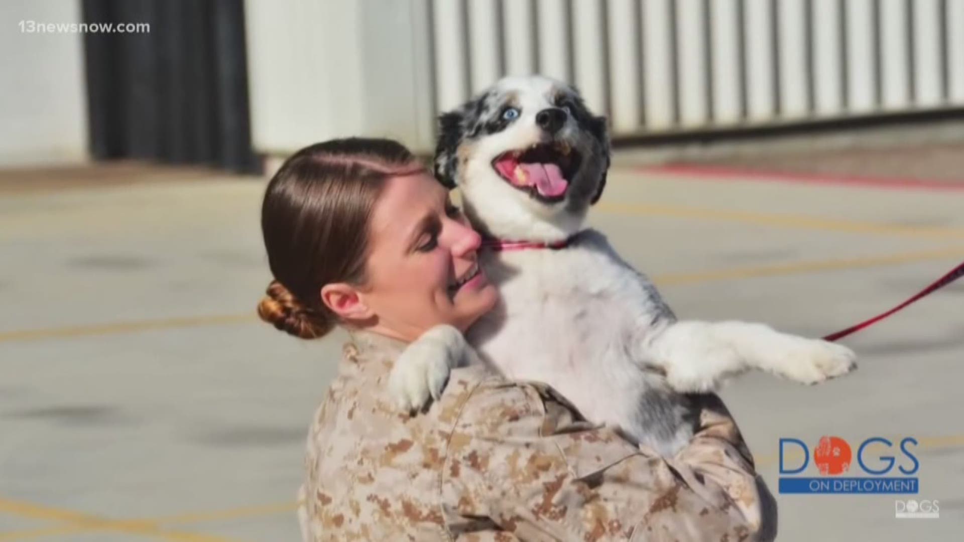There are thousands of active duty military personnel in Hampton Roads. You may have wondered, what happens to their pets when they're sent overseas? That's where Dogs on Deployment steps in.