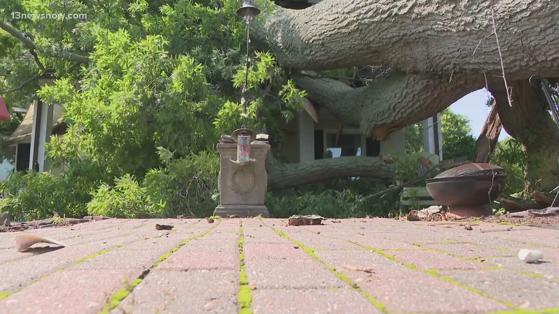 The damage to 83-year-old Marie Puggioni’s Raleigh Terrace home is severe: The roof caved in after a tree crashed into it.