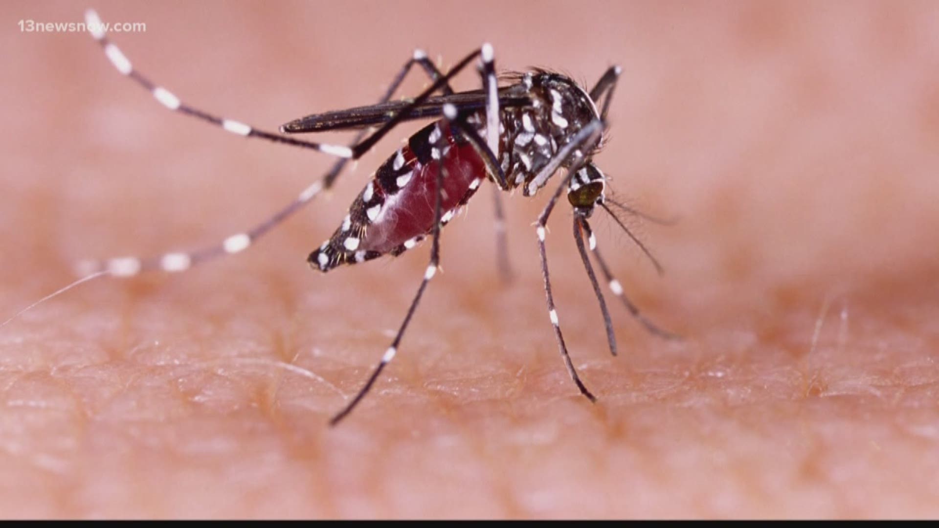 People are worried after mosquitoes collected in Suffolk tested positive for West Nile Virus and Eastern Equine Encephalitis.