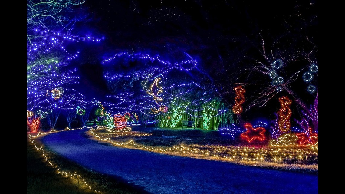 Norfolk Botanical Gardens Christmas Lights: A Dazzling Display