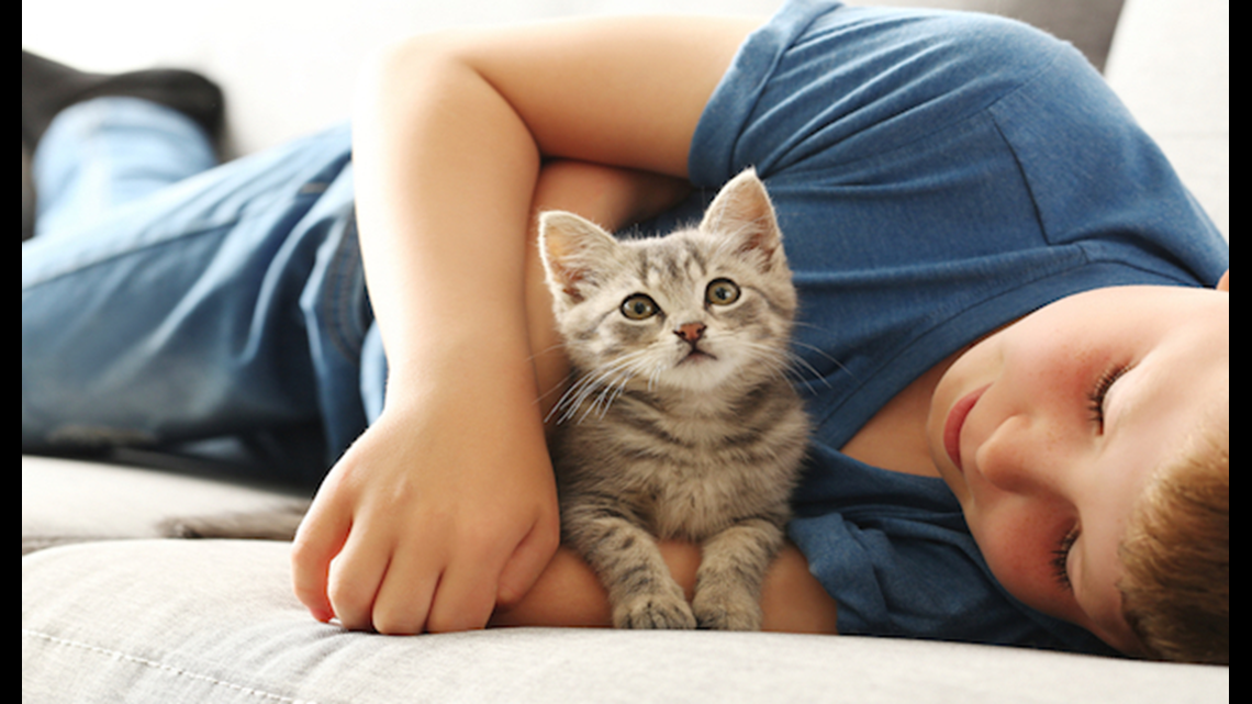 Cats may help kids with autism