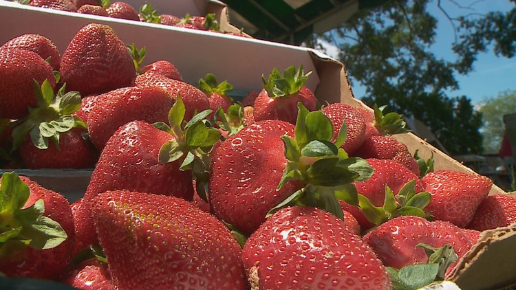 Pungo Strawberry Festival looking for volunteers to help this year