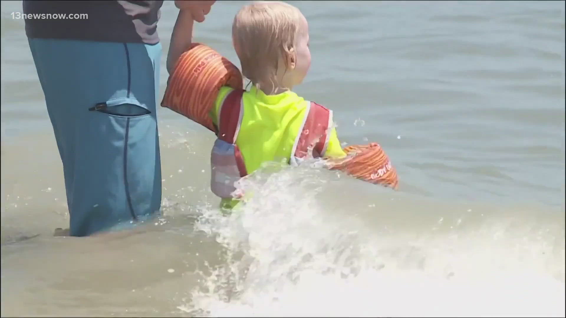 We still don't know what exactly bit the child, but marine life experts say there's nothing to worry about if you're headed to the beach this weekend.