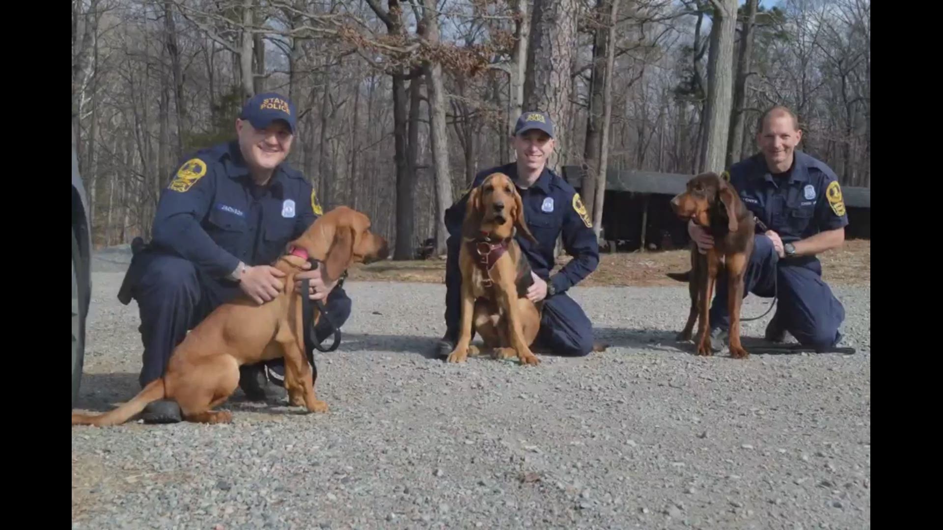 Virginia State Police's Bloodhound Tracking Training started March 18 for three pups Justice, Liberty, and Gus! Video courtesy of Virginia State Police.