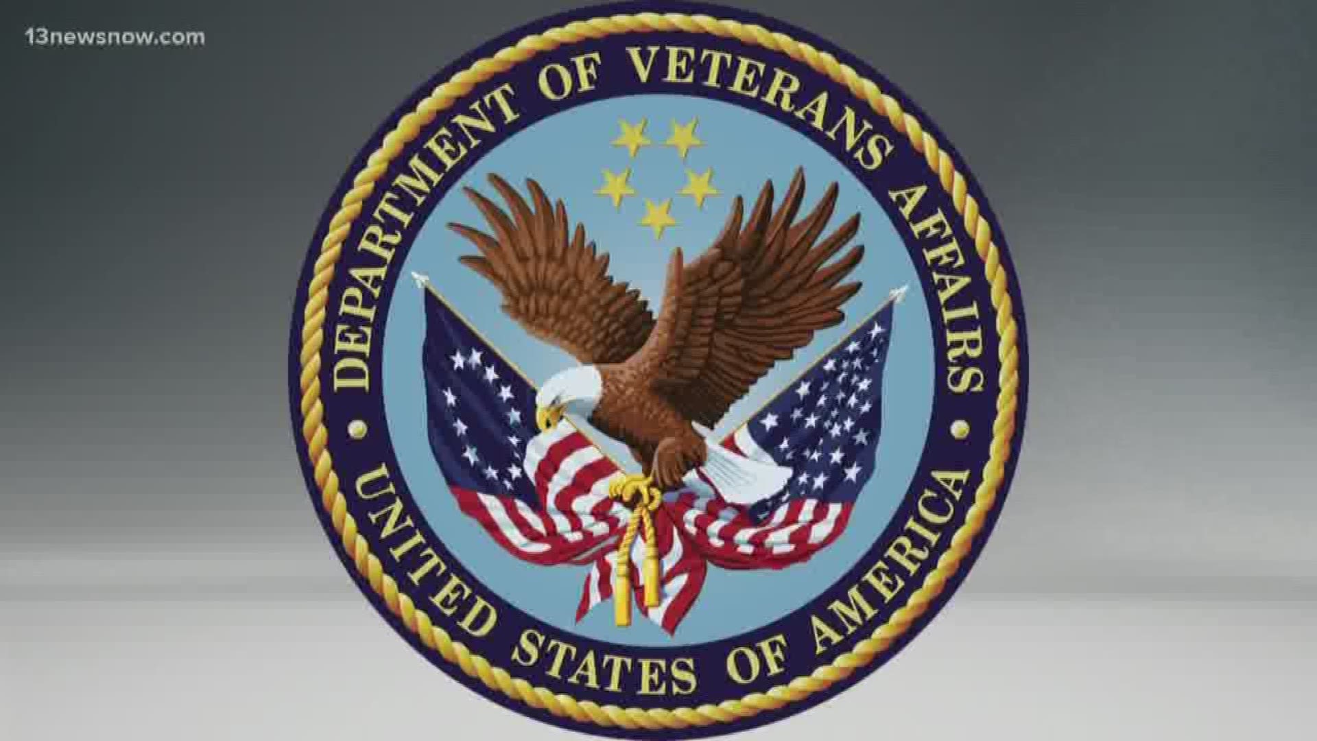 The VA is on the GAO's high-risk list after spending over $4 billion dollars and only making limited progress to updates in their IT system.