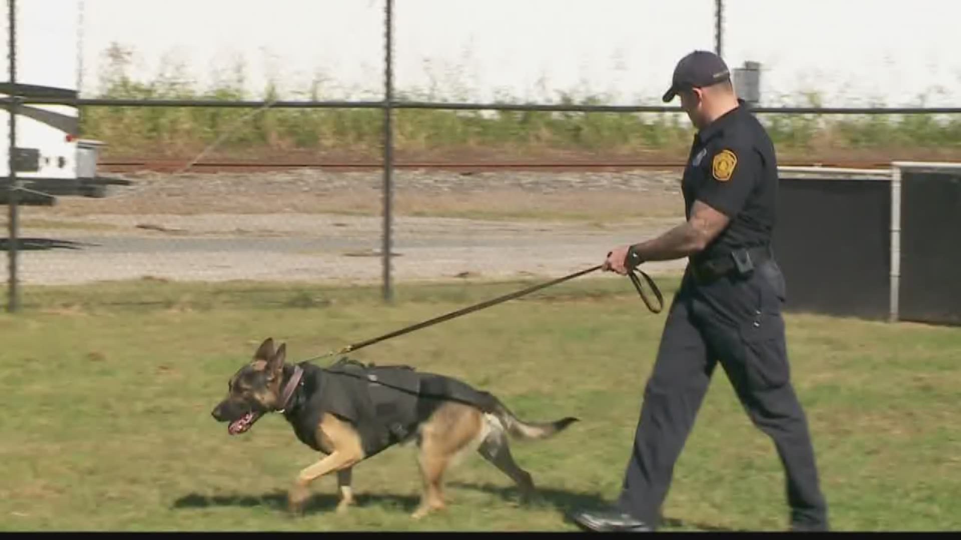 A huge donation is helping Norfolk Police outfit their K-9's with protective vests.