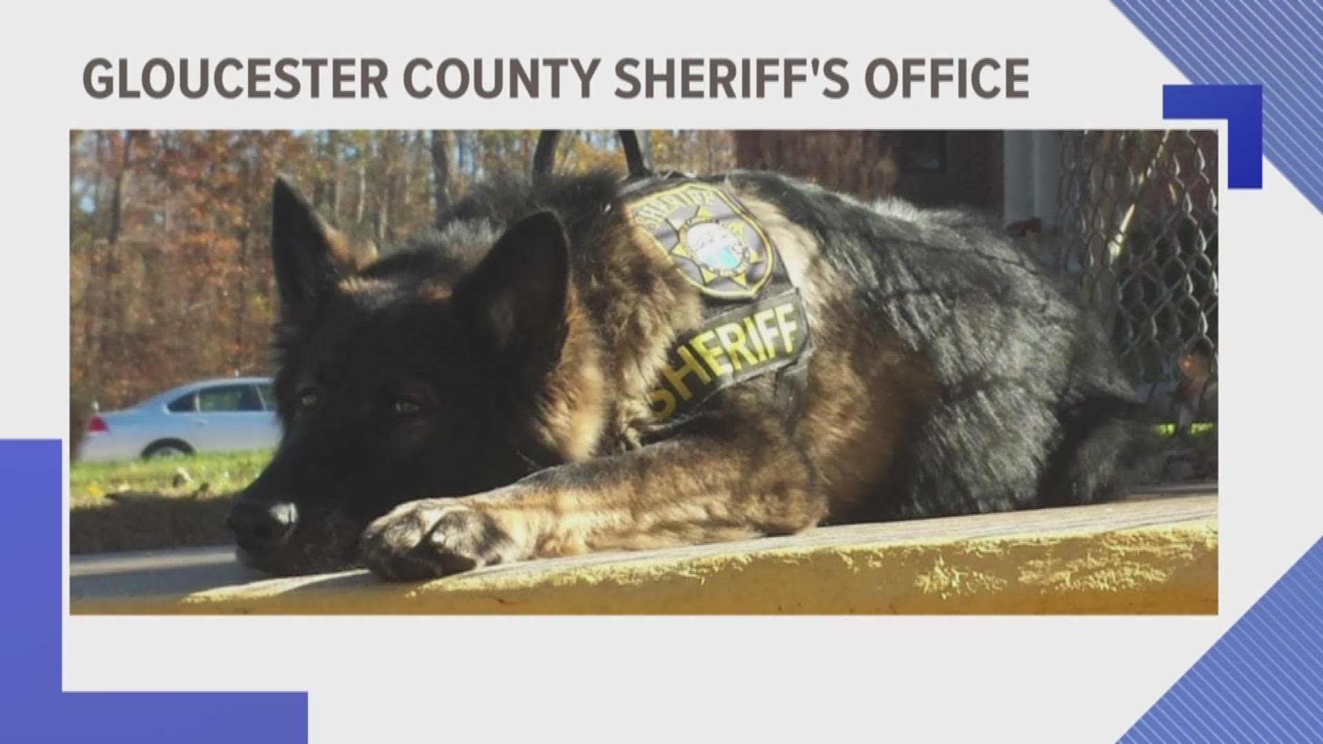 A K-9 is hanging up his badge. The Gloucester County Sheriff's Office announced Rexi is retiring.