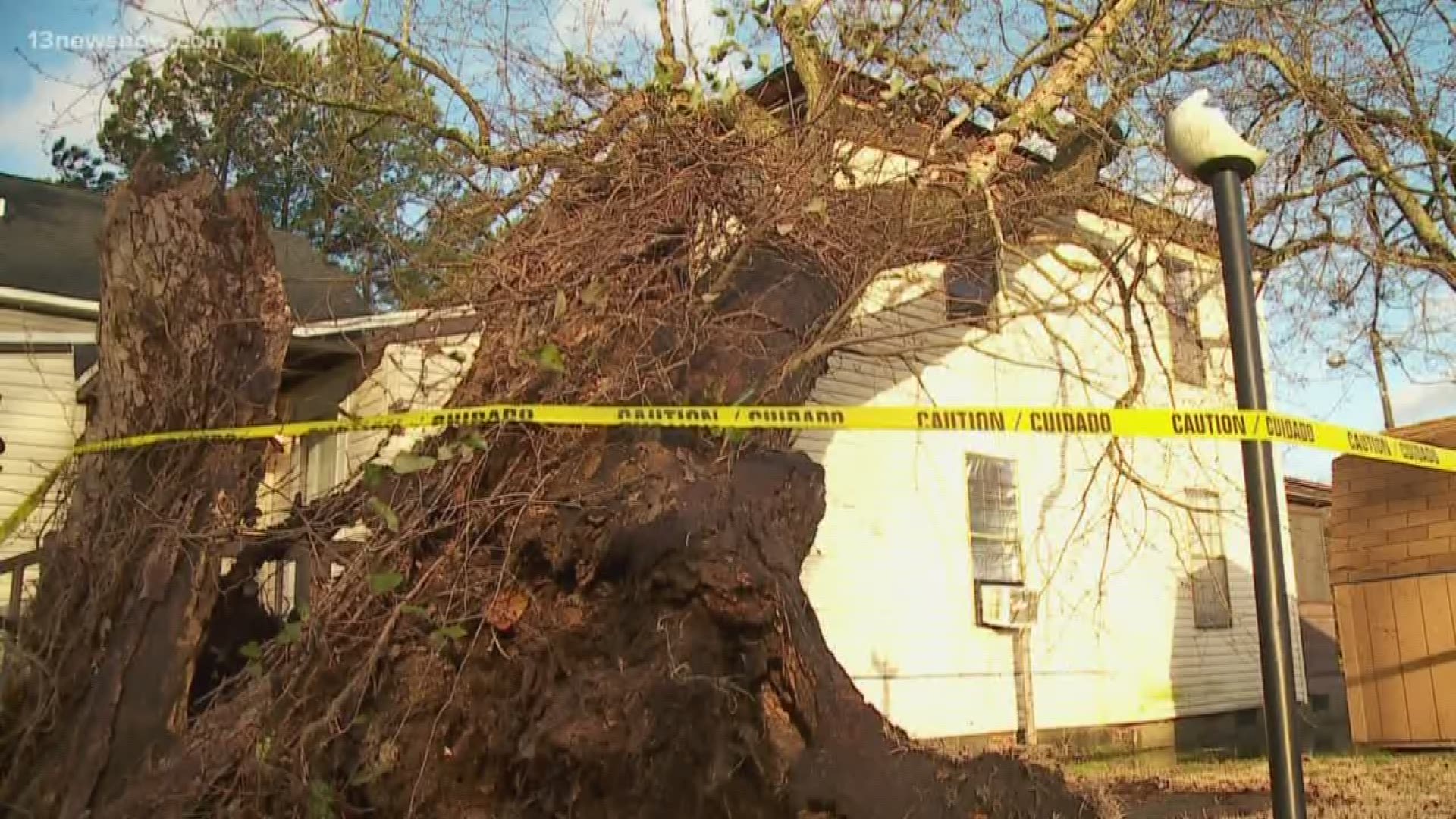 Giant tree falls on house in Suffolk after storms, heavy winds