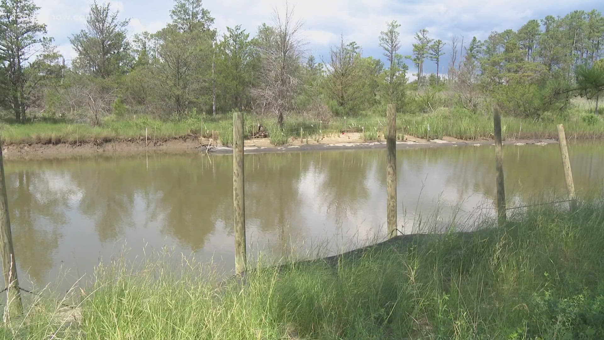 It's a collaborative effort by Virginia Sea Grant, RISE Resilience Innovations, and the Middle Peninsula Chesapeake Bay Public Access Authority.